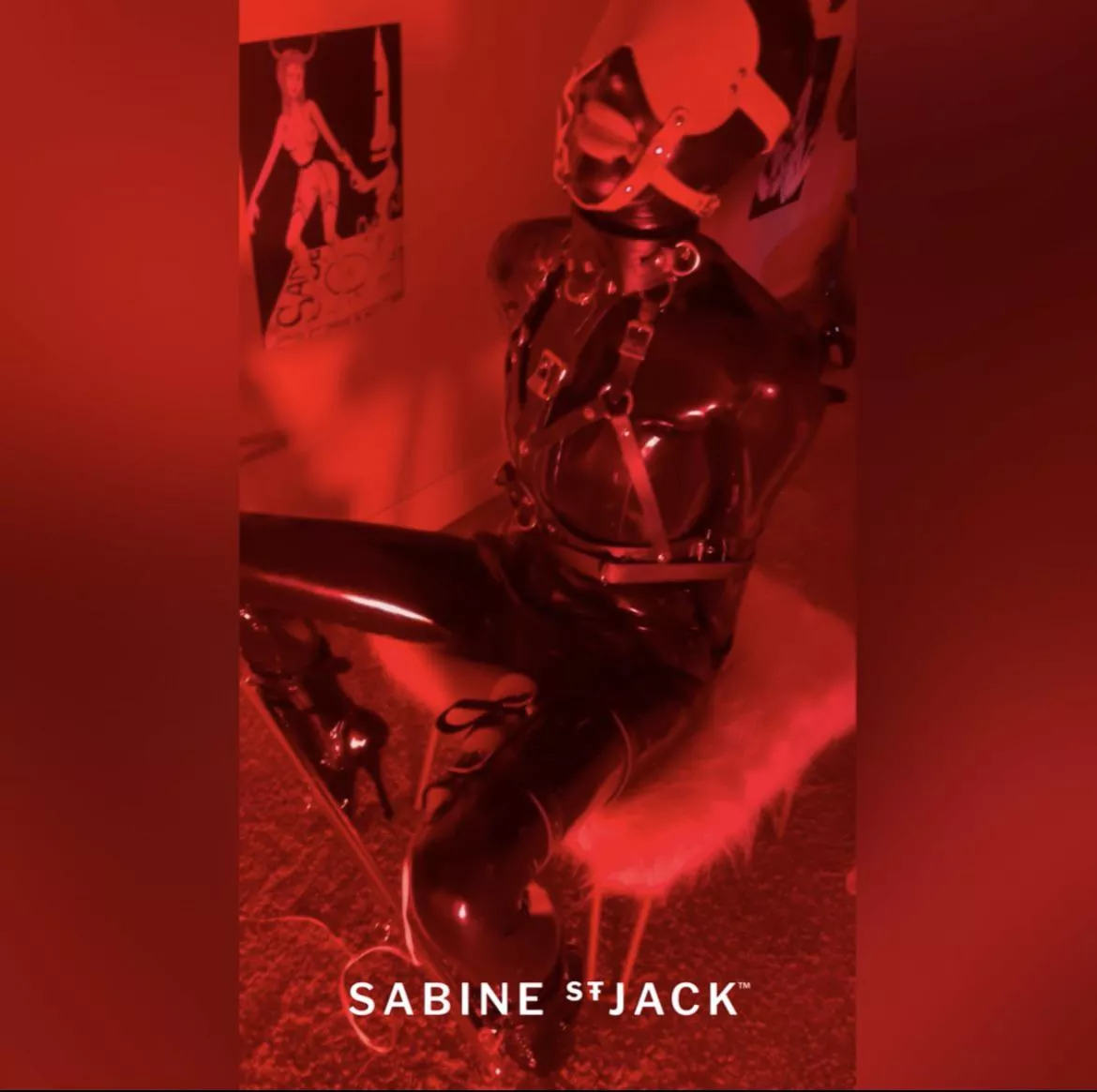 She looks best with her latex hood on when she is squirming about. [oc] posted by [deleted]