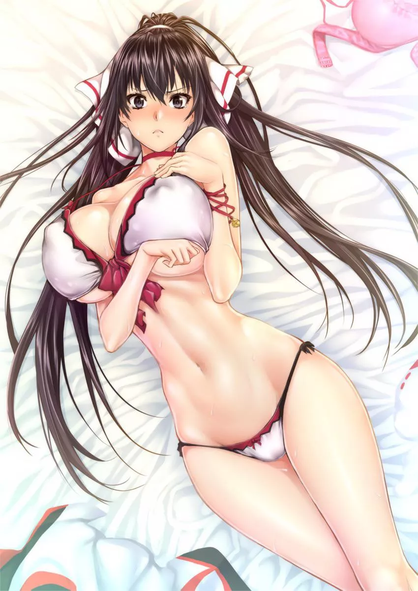 Shinonono houki (infinite stratos) posted by Psychological-Ad1233