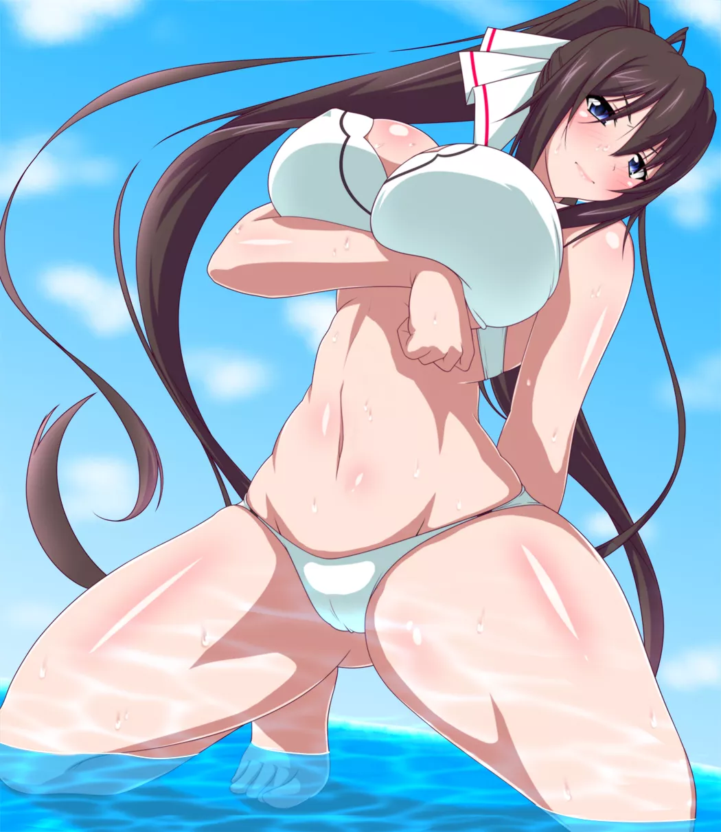 Shinonono Houki [Infinite Stratos] posted by cold_stew