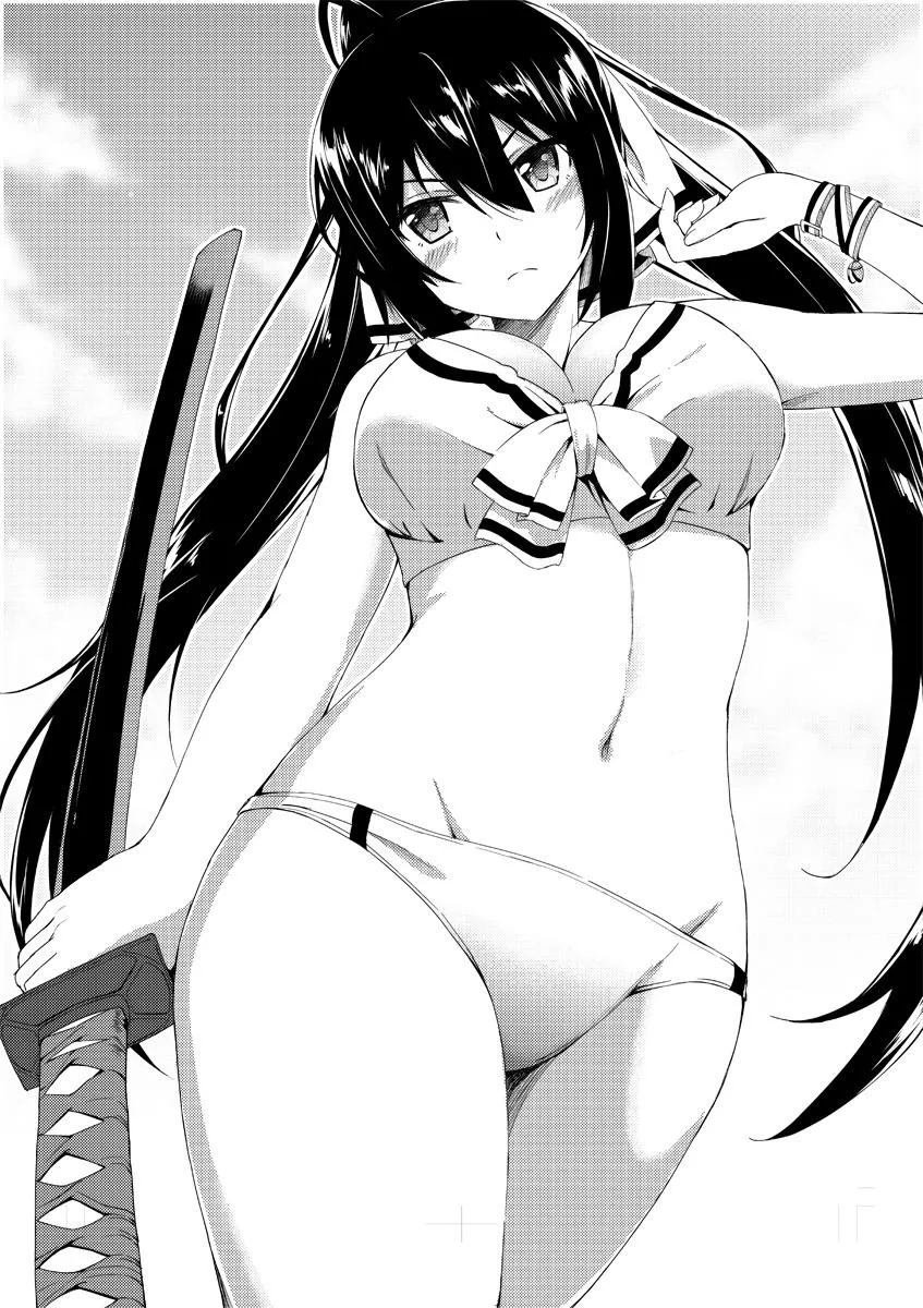 Shinonono houki (infinite stratos) posted by Southern-Range7363