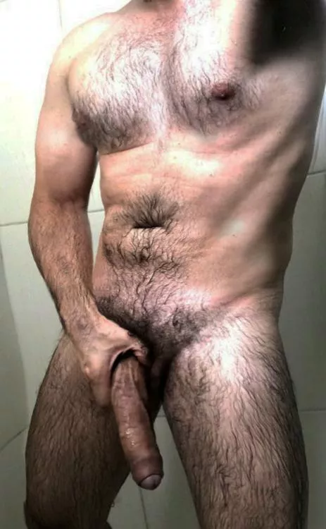 Should I post hard? posted by hairydaddy90210