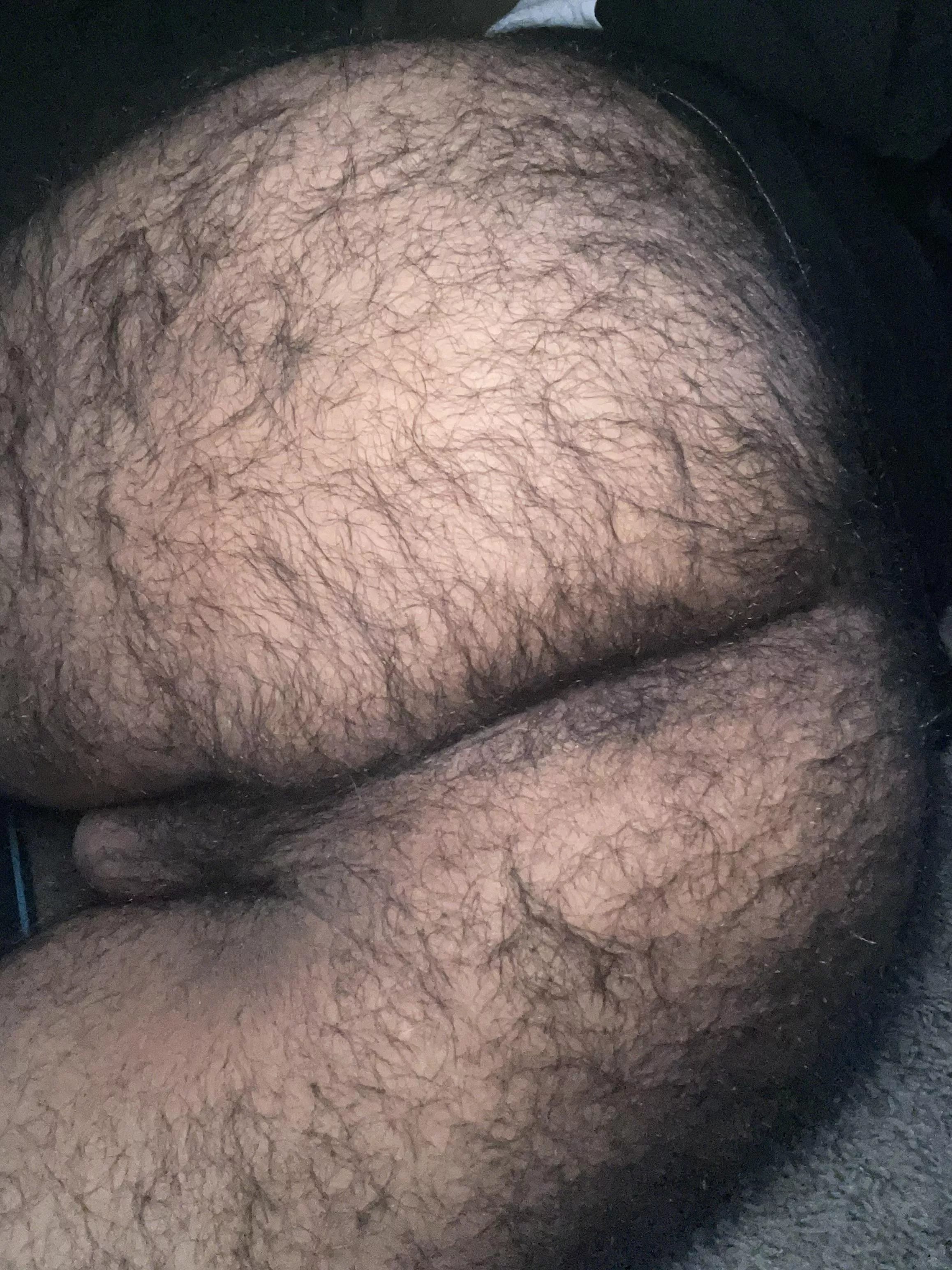 Should I spread em? posted by gayandhairy