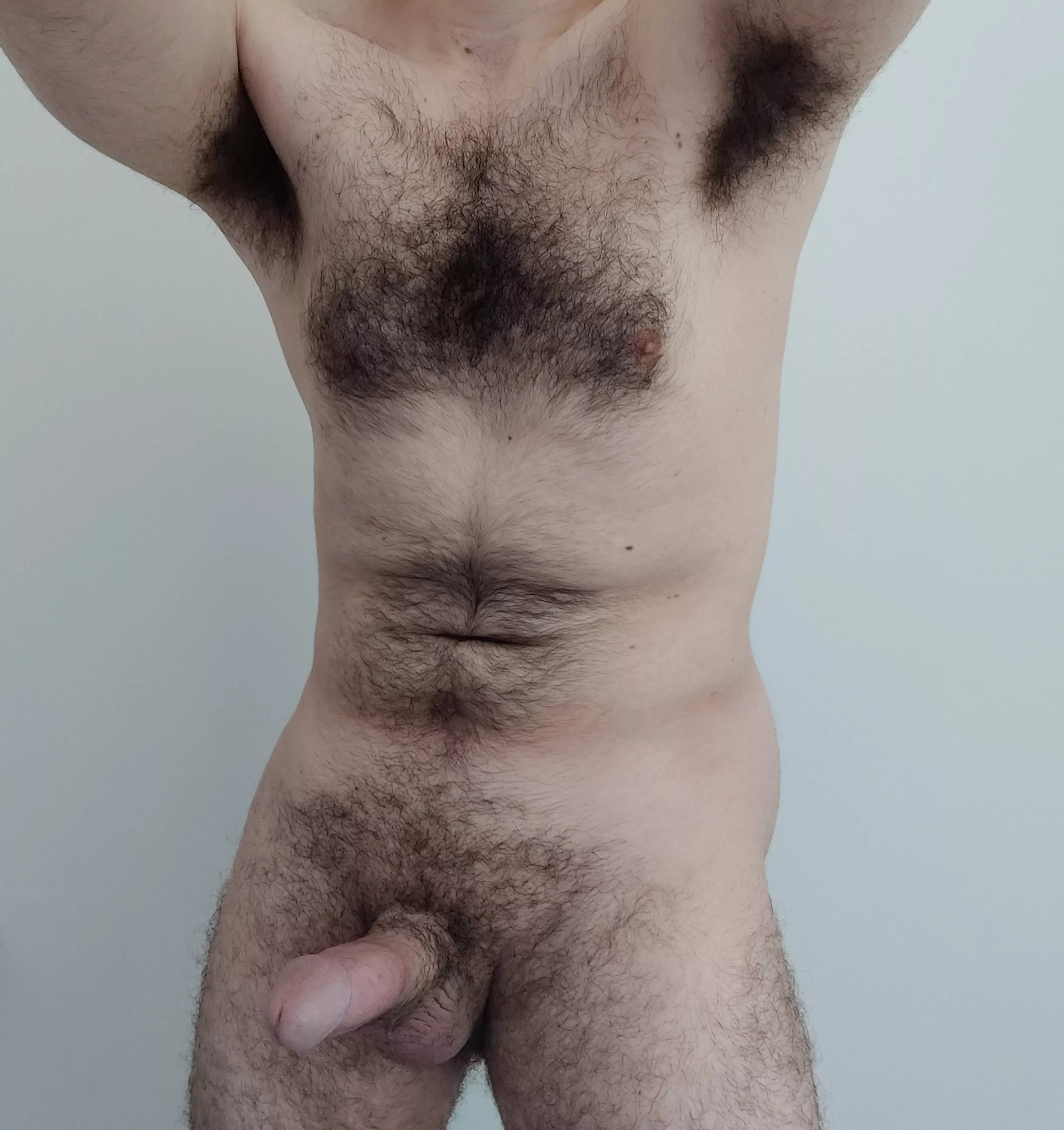 Showing off my hairy body and my cock posted by [deleted]