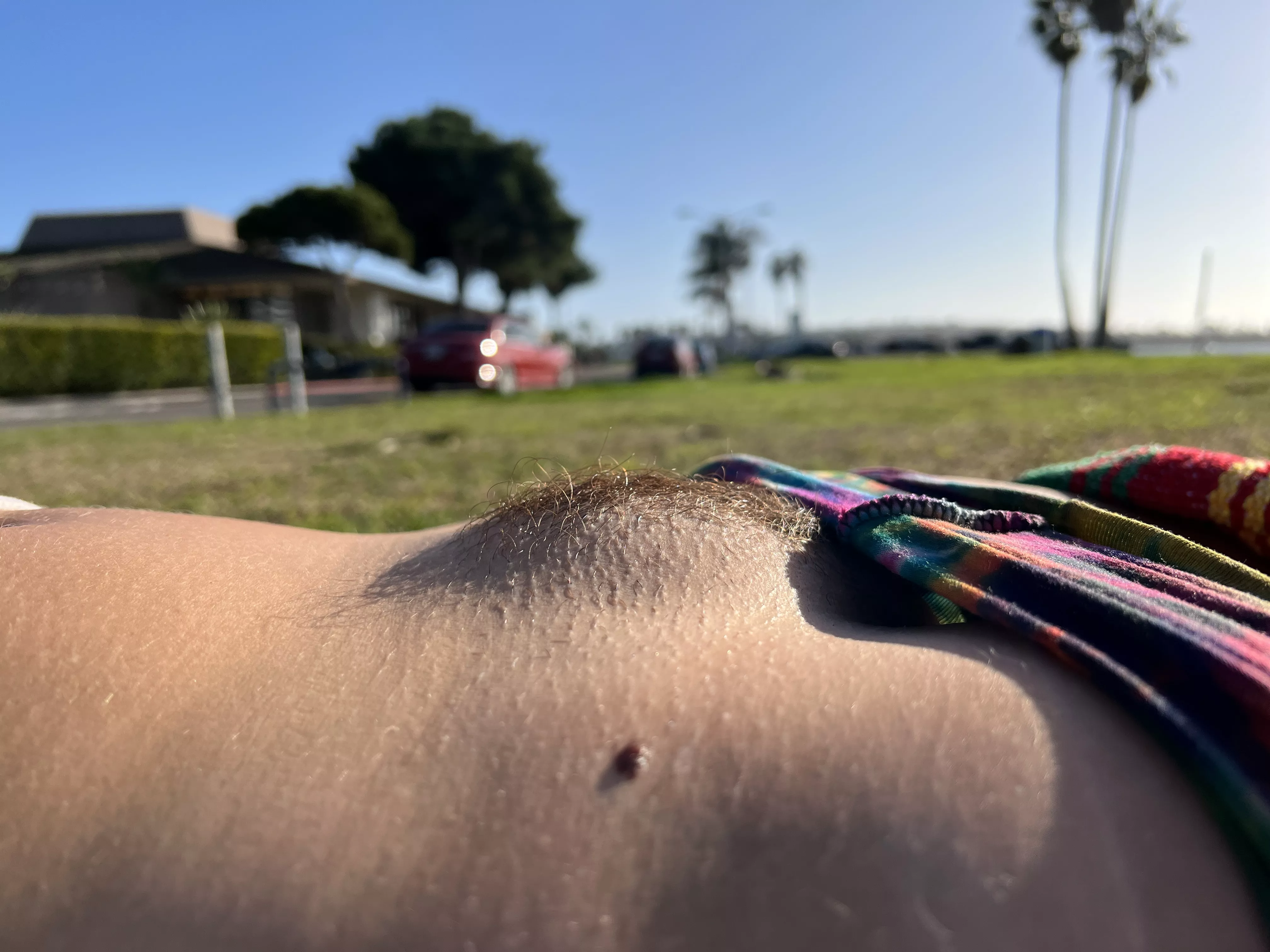 Showing off my hairy little mound at the park. posted by tiny_t_cookie