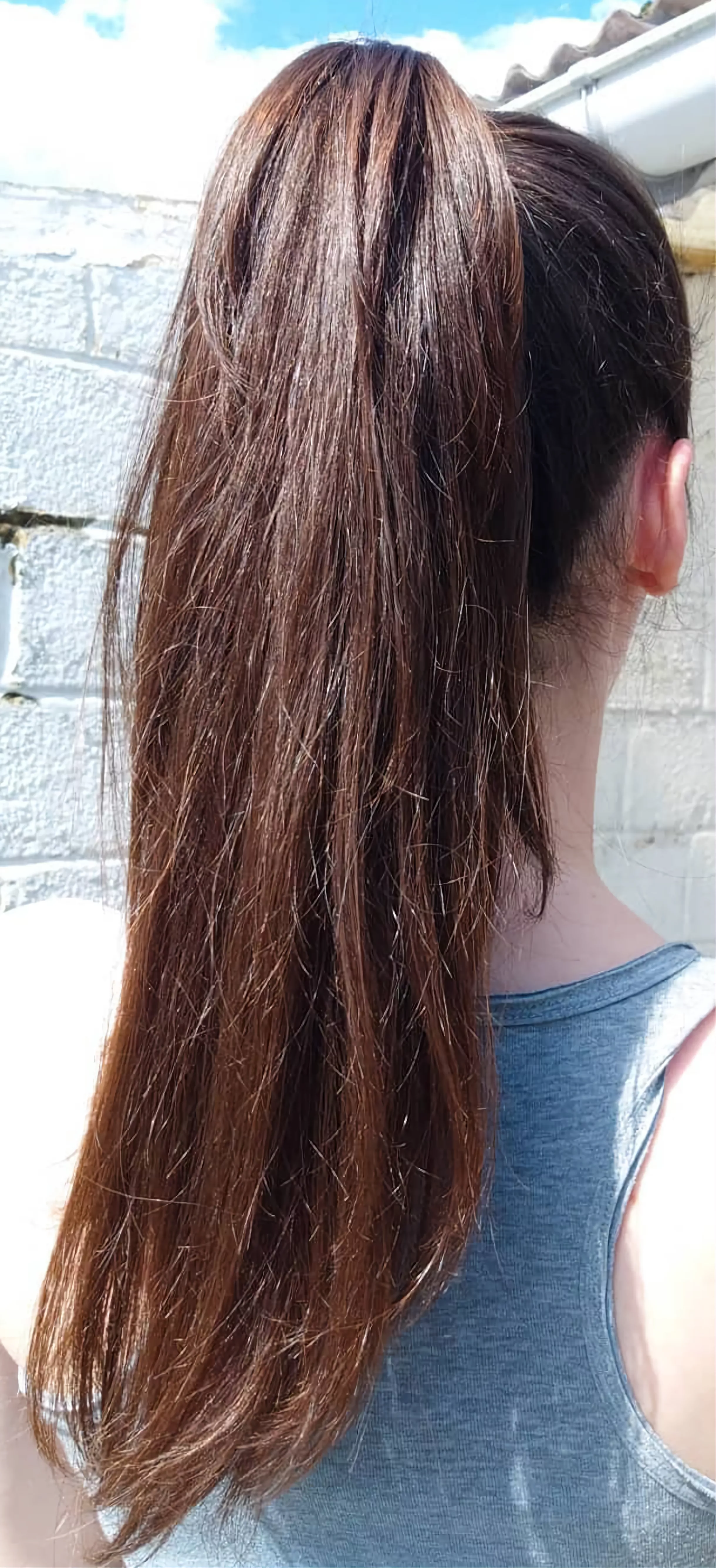 Silky brunette tail posted by maxsmithdfw13