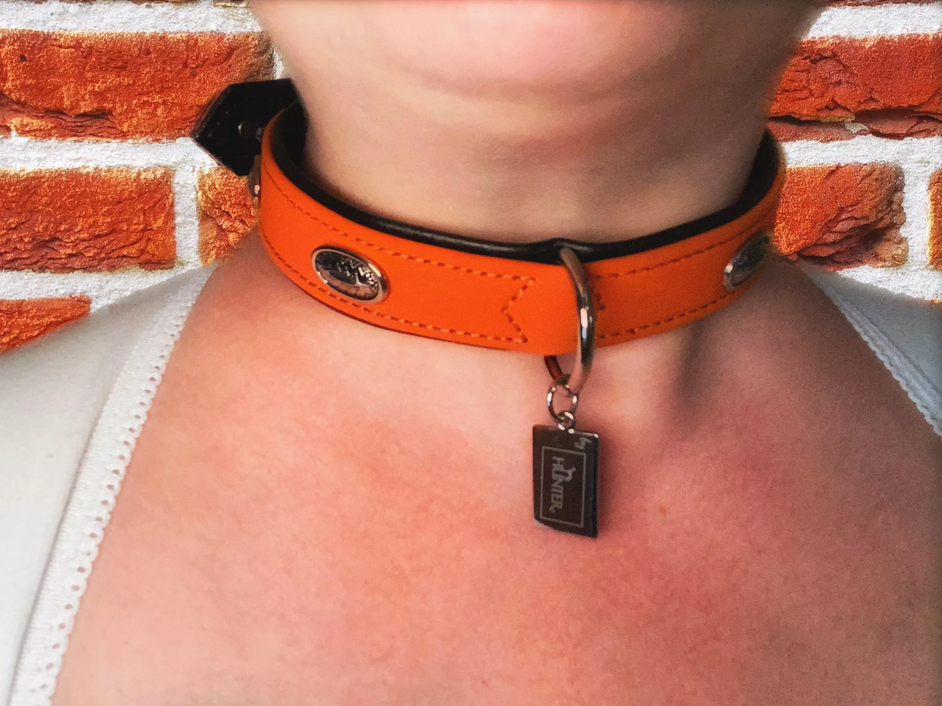 Sir got me a new collar! I love it so much! [F] posted by CottonJelly