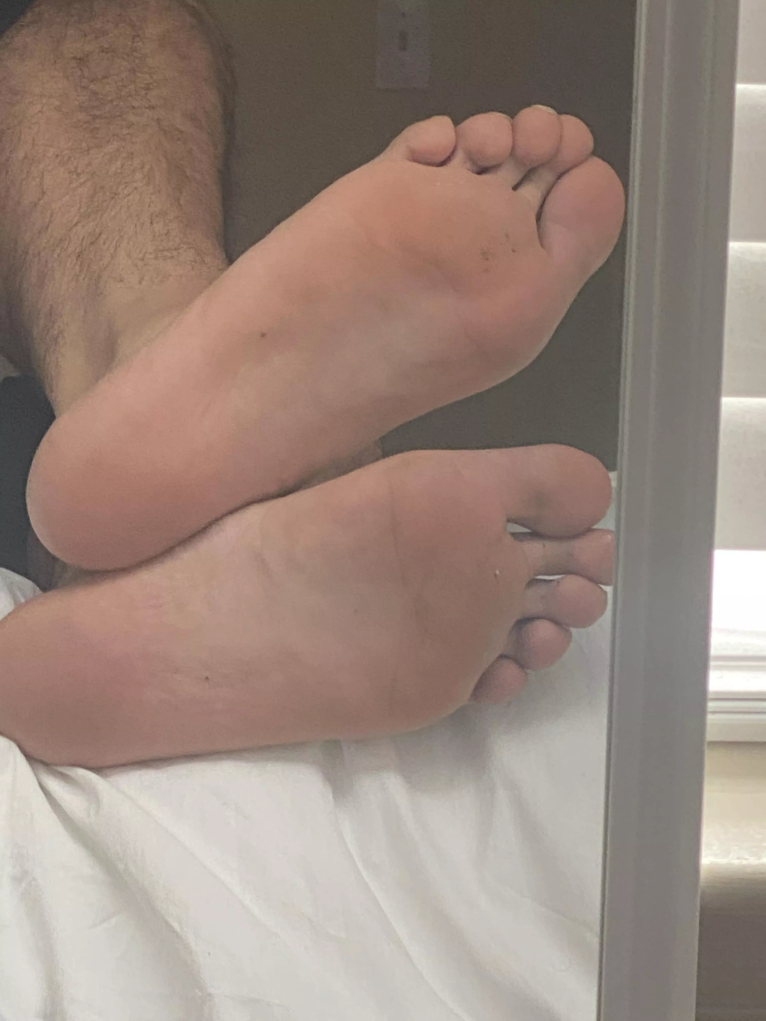 Size 13.5 Feet, been told over the years I have nice feet, what do you guys think? posted by jayvcr