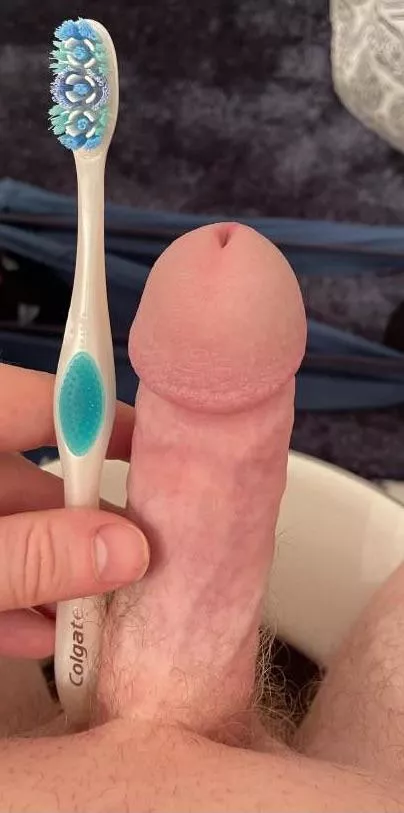 Sized up by a toothbrush. Who can top it? posted by ilikegettingoutsized