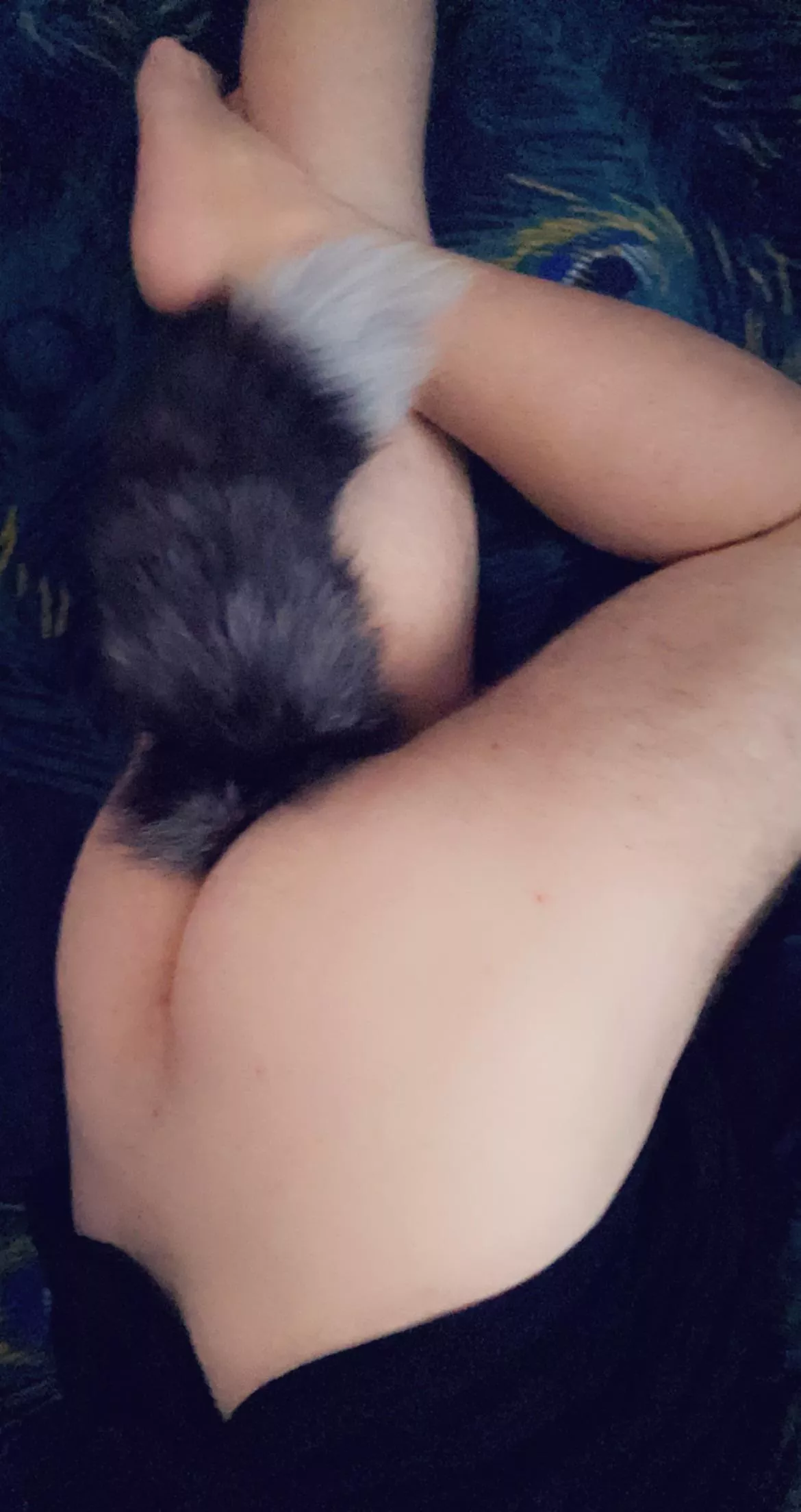 Sleepy Saturday Kitty [M] posted by hernaughtykitty