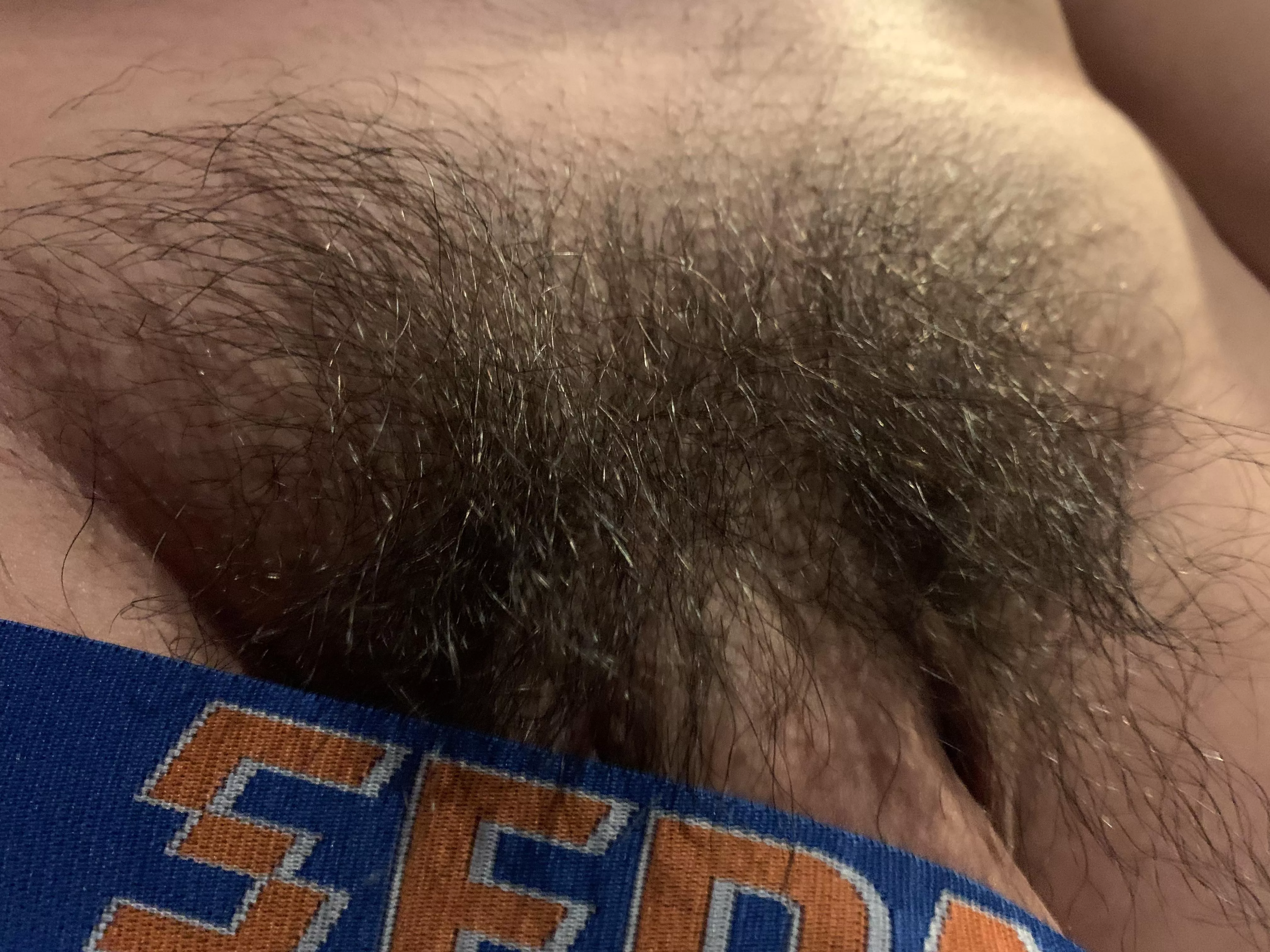 Smooth bro with wild bush…not the best 🥺, but just wanted to share my progress on no shaving Nov😘 posted by Long-Bus3569