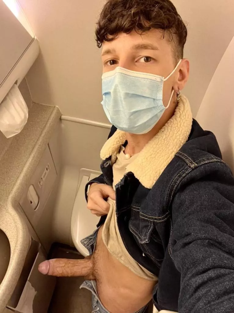 Snake on a plane 😂 posted by Bubbledol