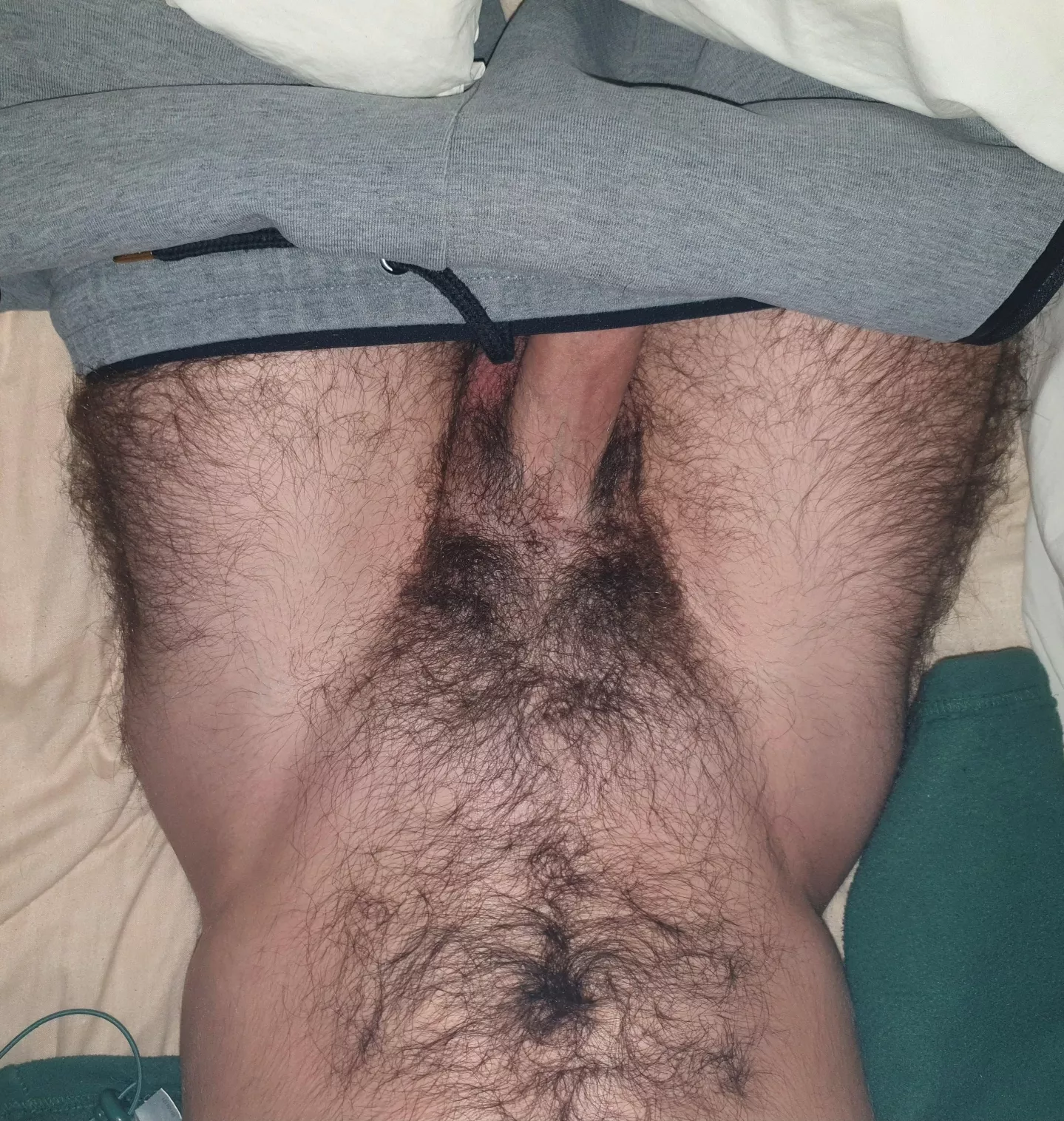 Sniff my cock posted by Scottishbrieflad