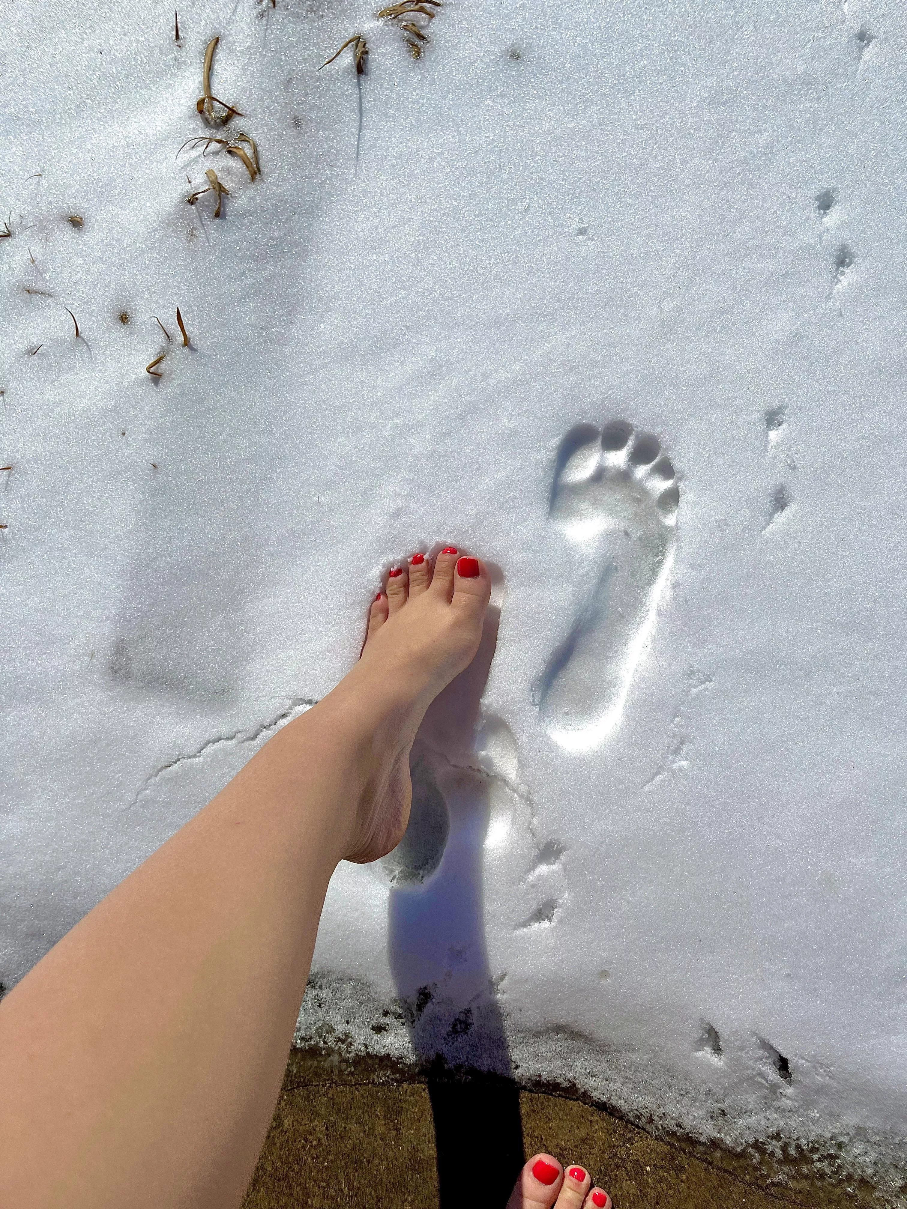 snow angels with my feet posted by kyleereece