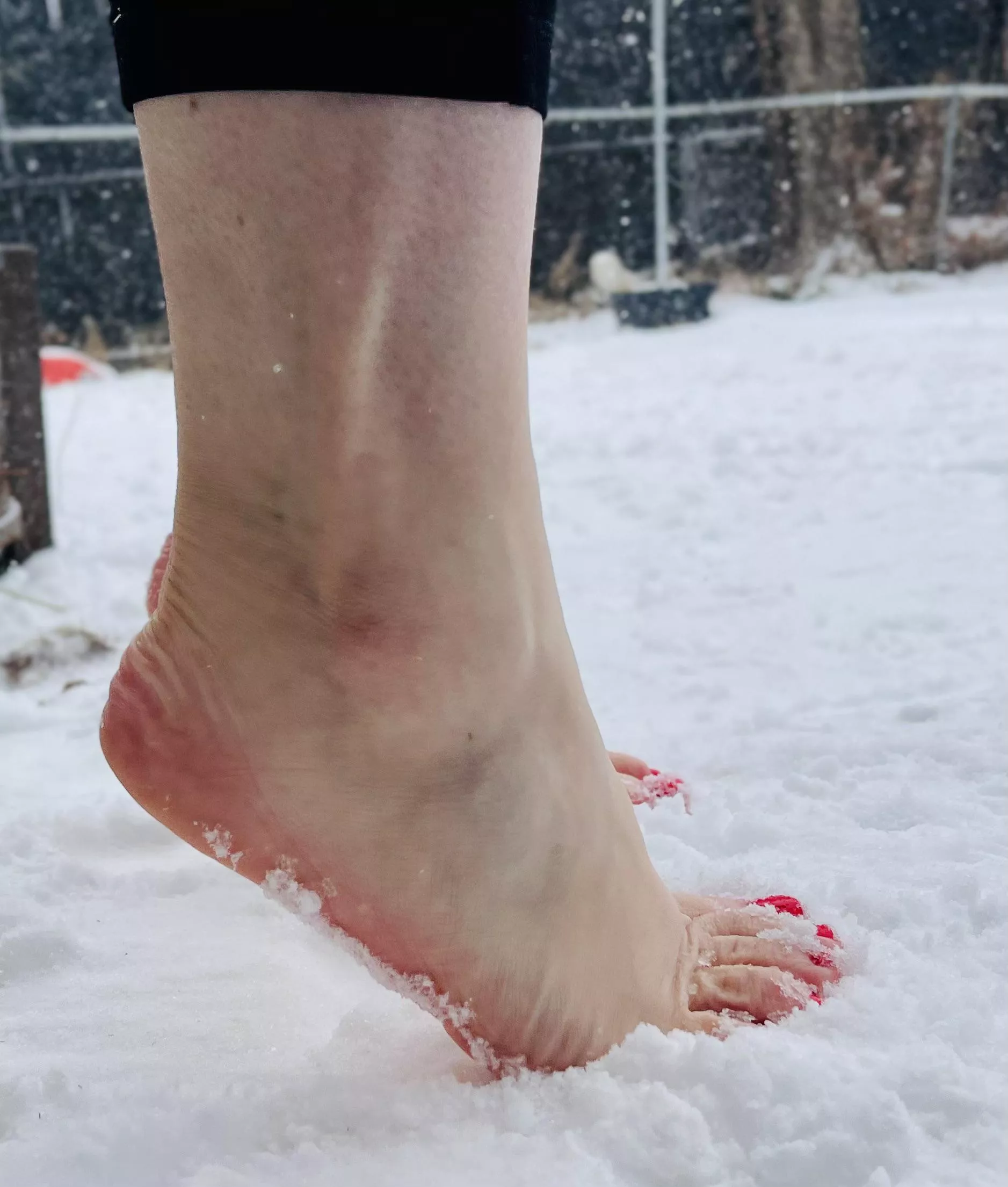 So cold! But had to get these pics for everyone! posted by Friendly_Soles