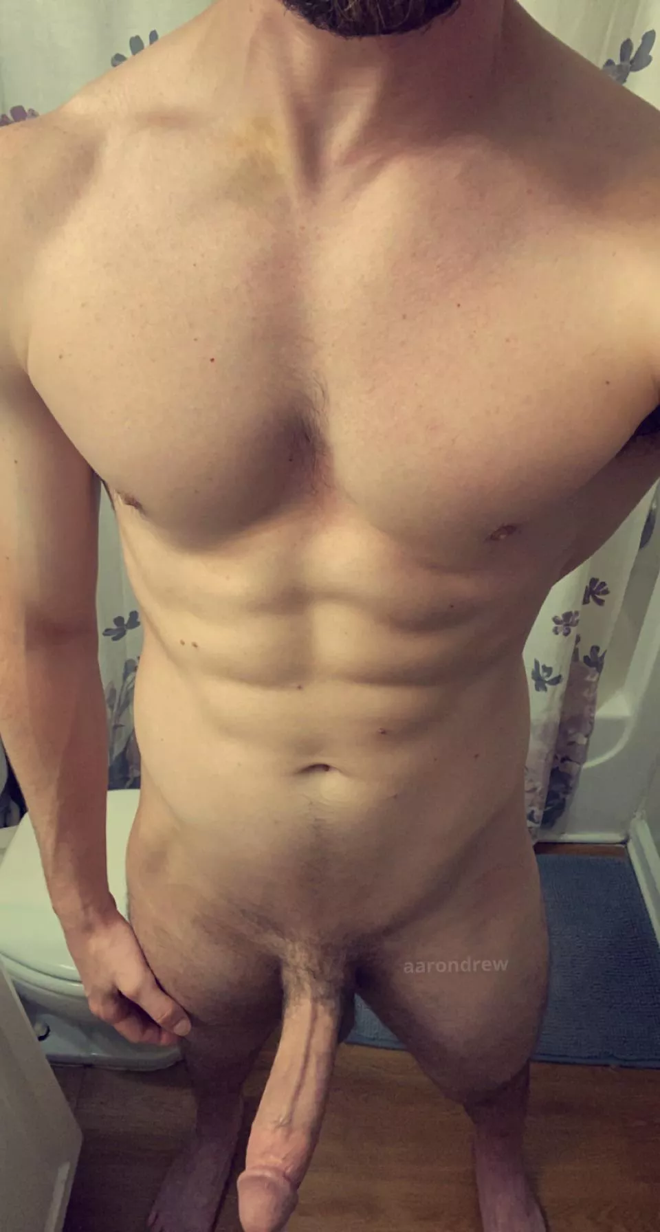 So here is my cock, would you like to feel it? posted by aarondrew1