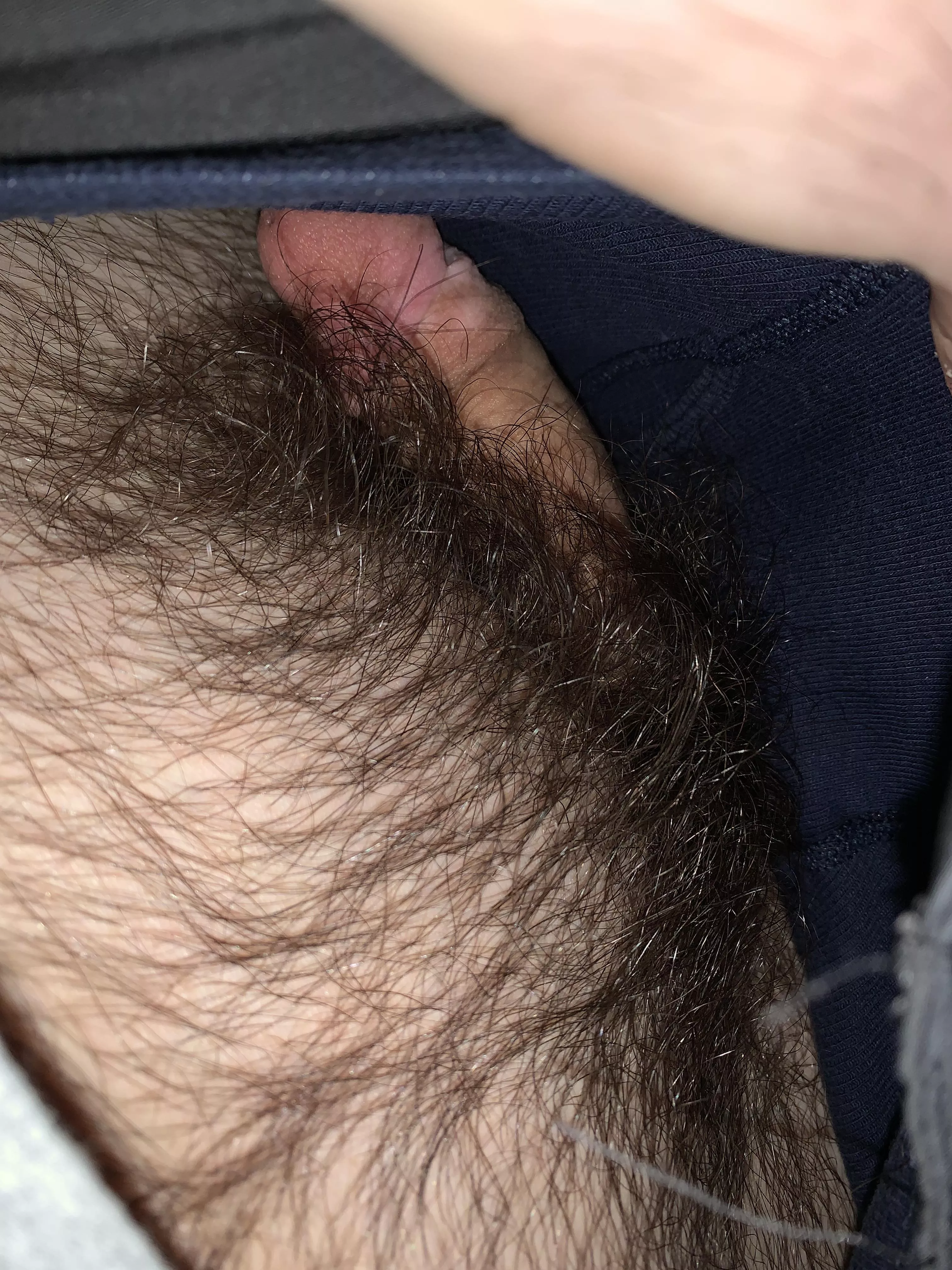 So horny I want help pm me I have Snapchat posted by Hairybearmofo