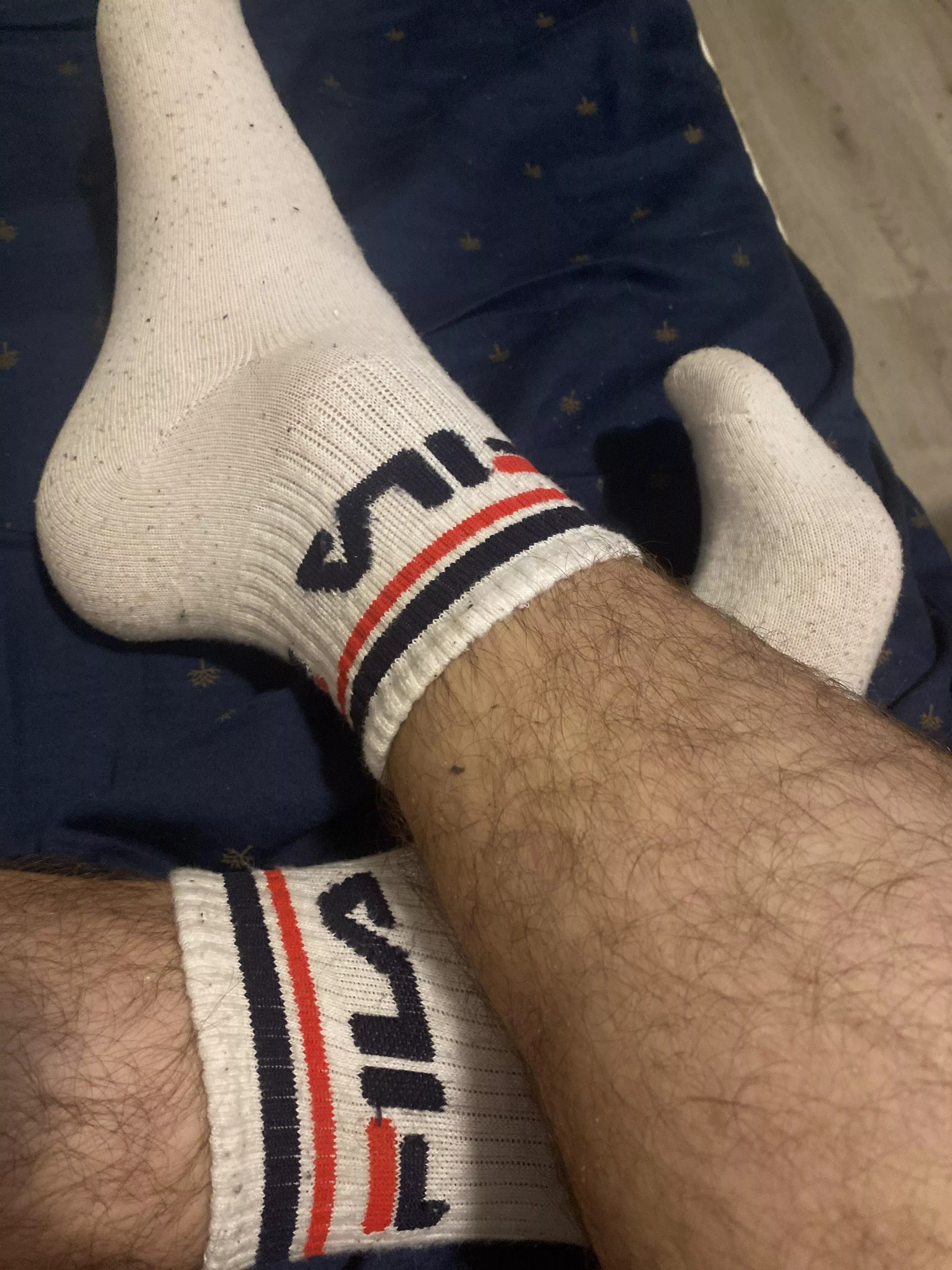 Socks are so fun. Join the zoom socks meeting, in comments 😏 posted by sockslovesocks