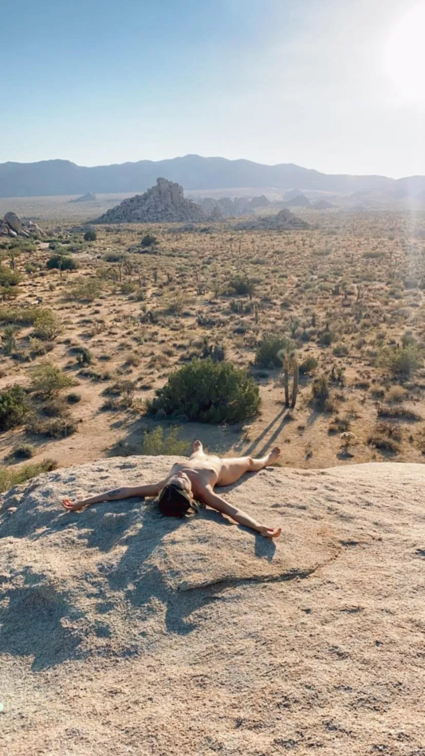 Solar penetration is the best kind and Joshua Tree does it best! posted by ccflight