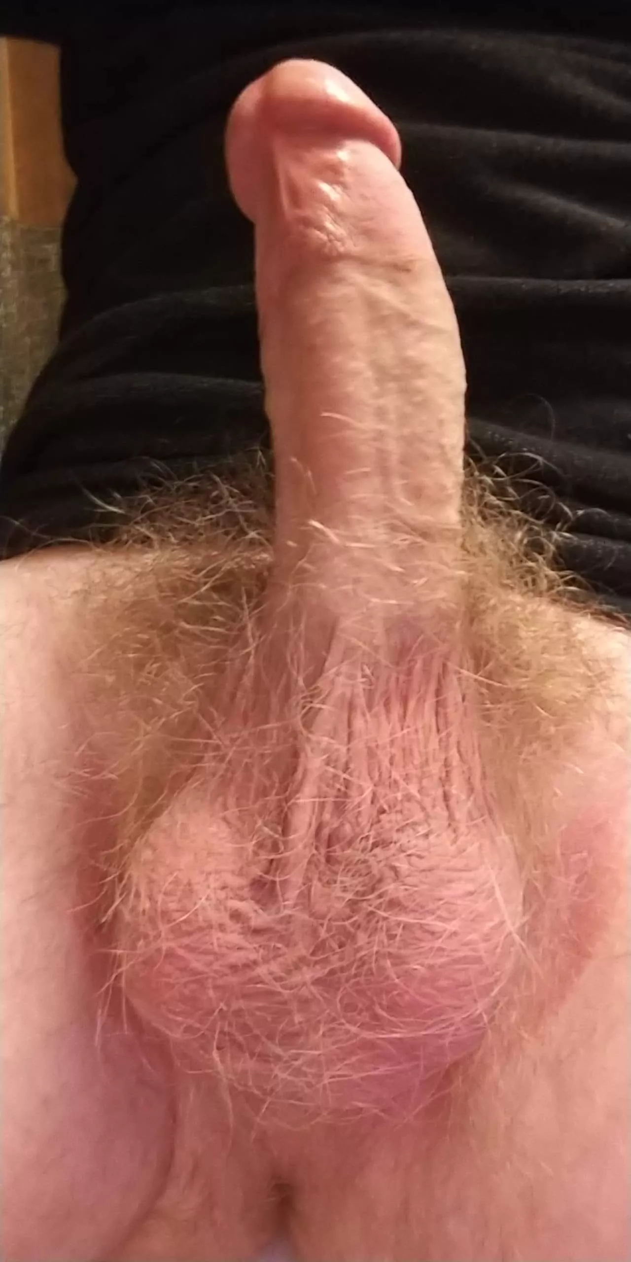 Sometimes people hate on my pubes but maybe some people here will enjoy them. posted by LST007