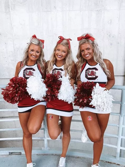 South Carolina Game Cocks posted by secmaster420