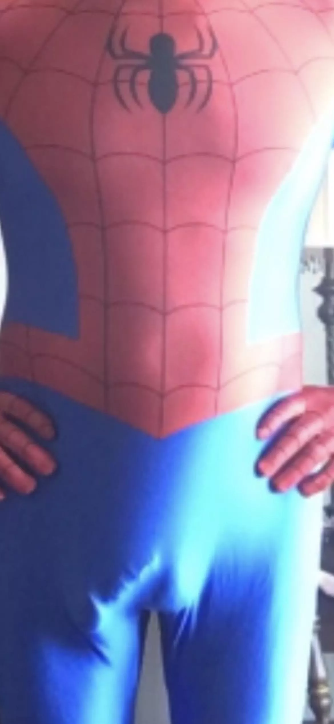 Spider-Man going commando posted by Rough-Influence-6664