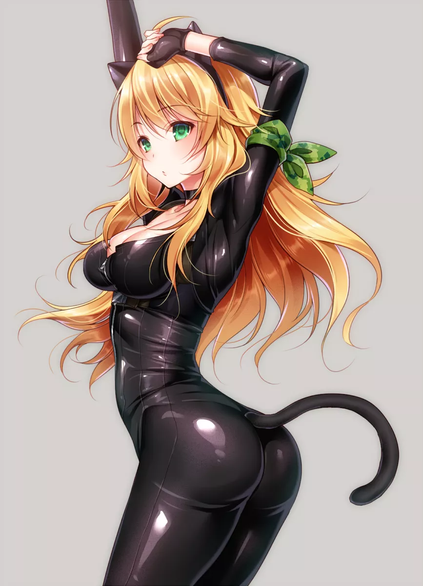 Spy Catsuit Miki (Hizuki Akira) [Idolmaster] posted by sequence_string