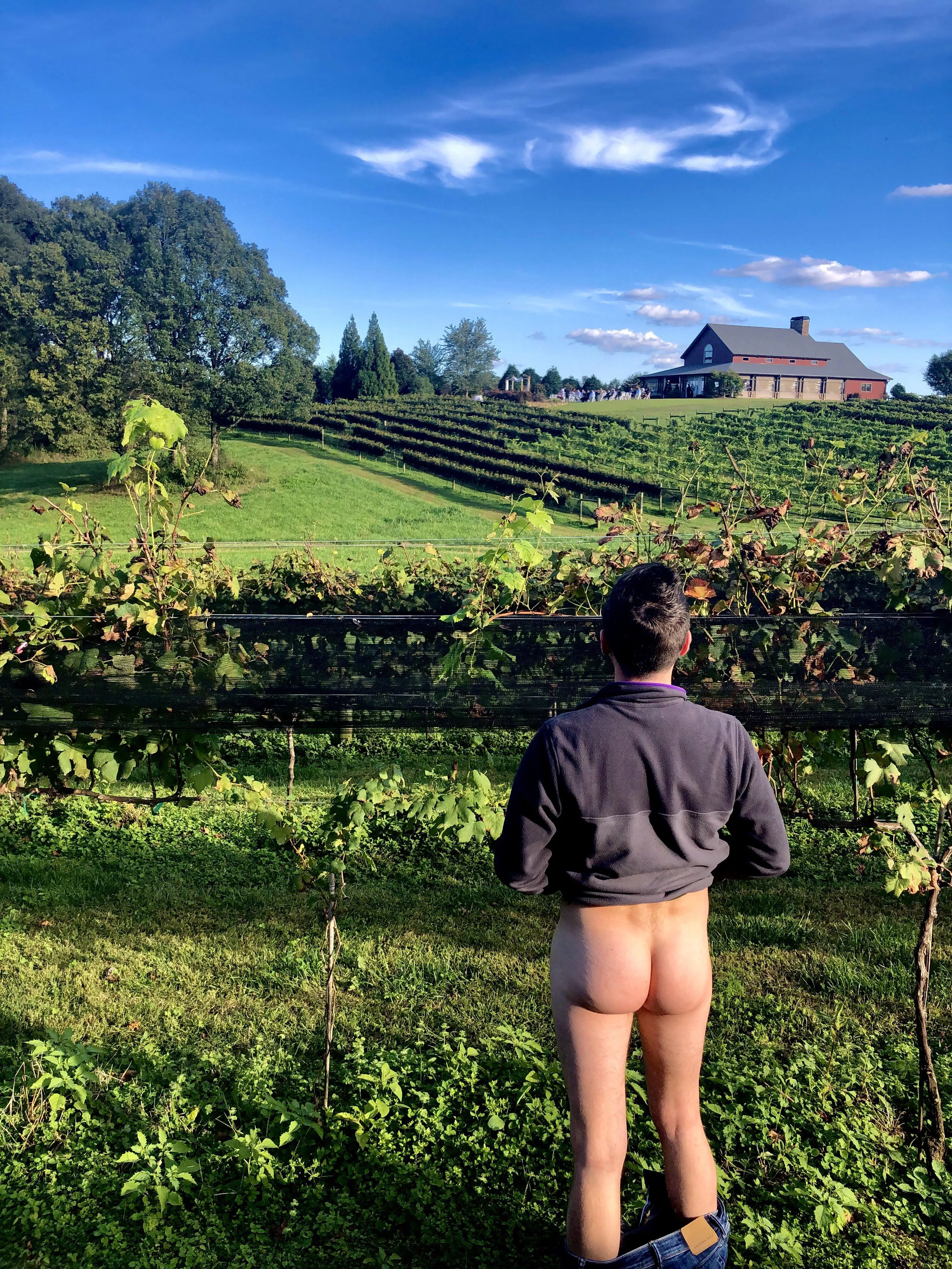 Spying on a wedding from among the grapevines posted by cazzone_agitato