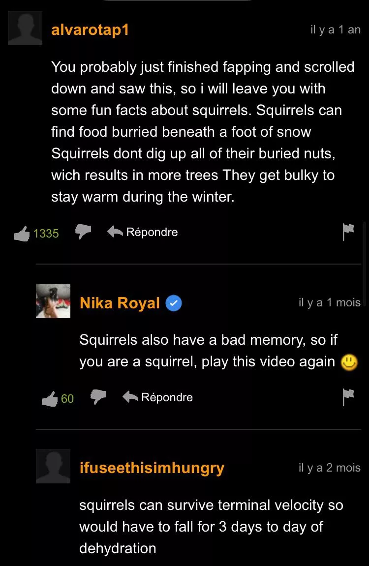 Squirrels posted by Twmpz