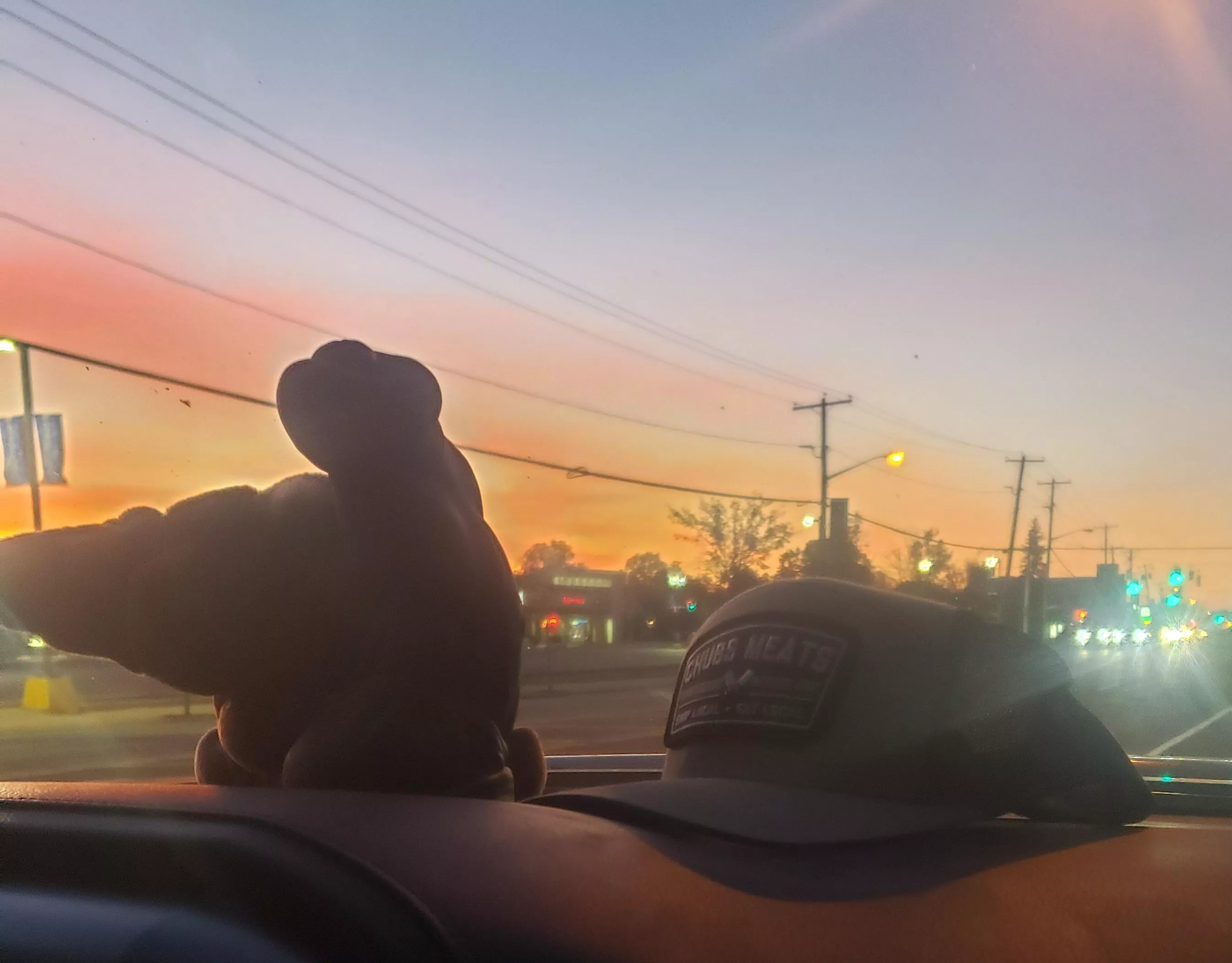 Stan on his way to work, and a beautiful sunrise! posted by MooseGoneApe