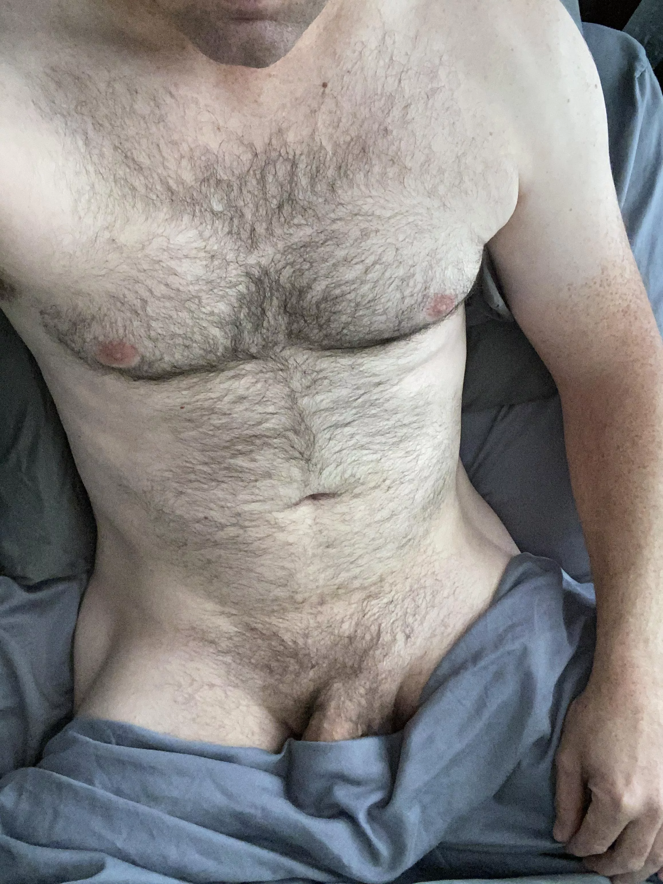 Stay in bed with me? [40] posted by mountain609