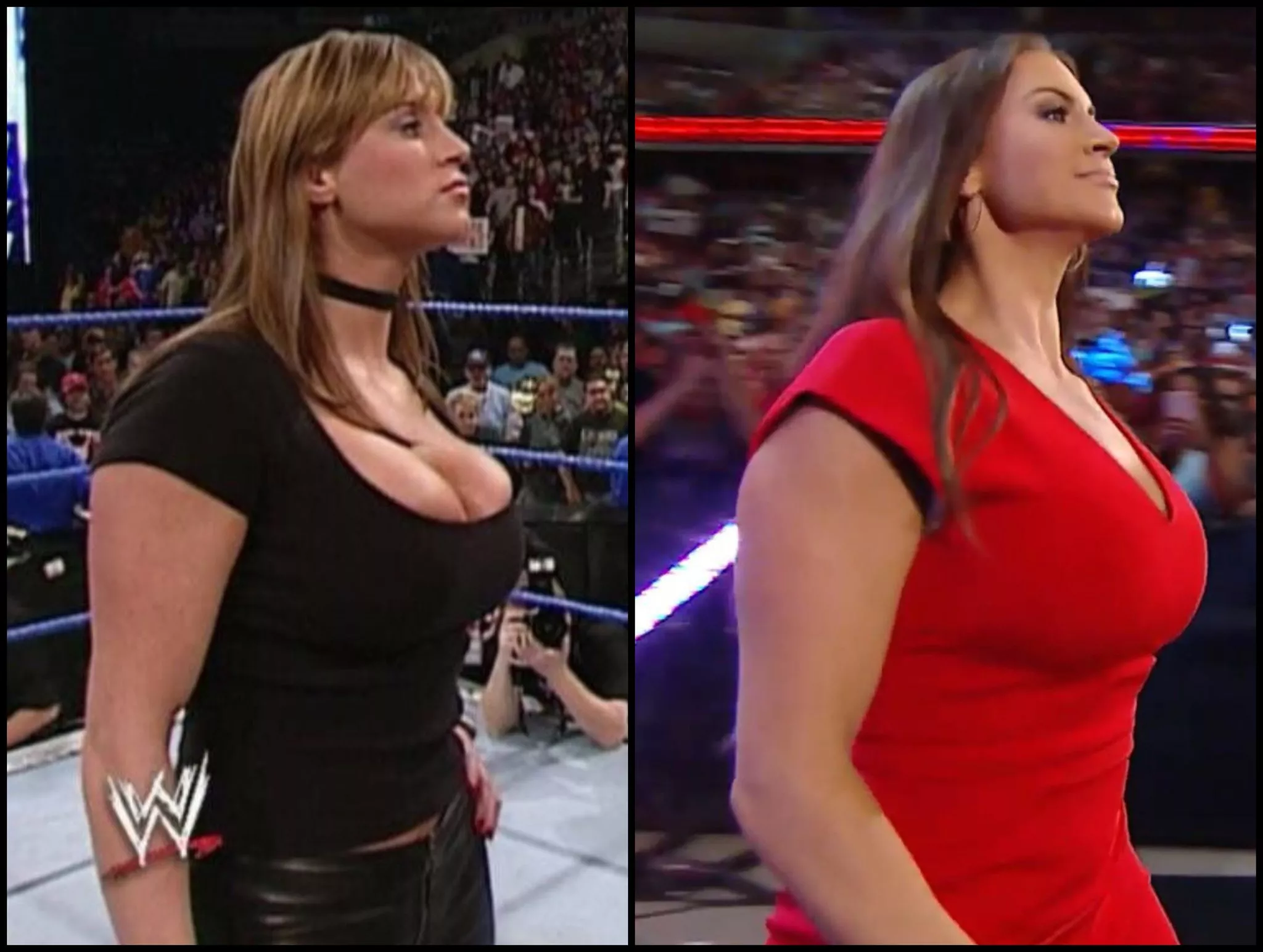 Stephanie McMahon is something else posted by Stratusfactiontime