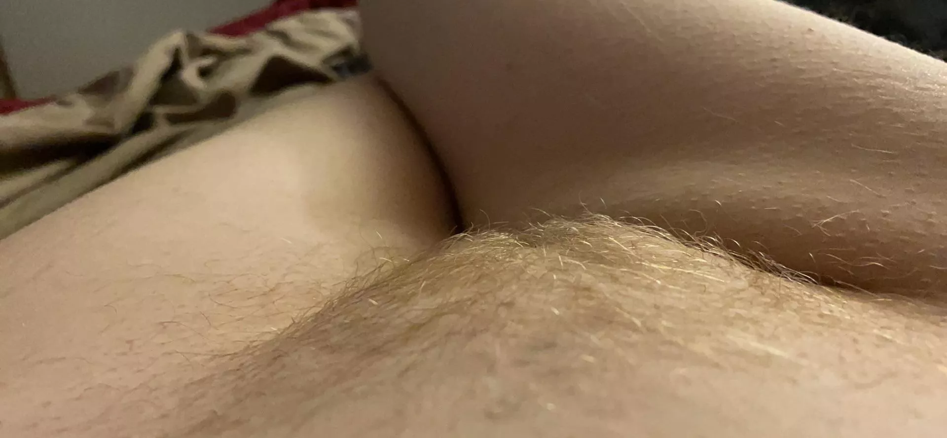 Straight blonde pussy posted by KiKiPAWG