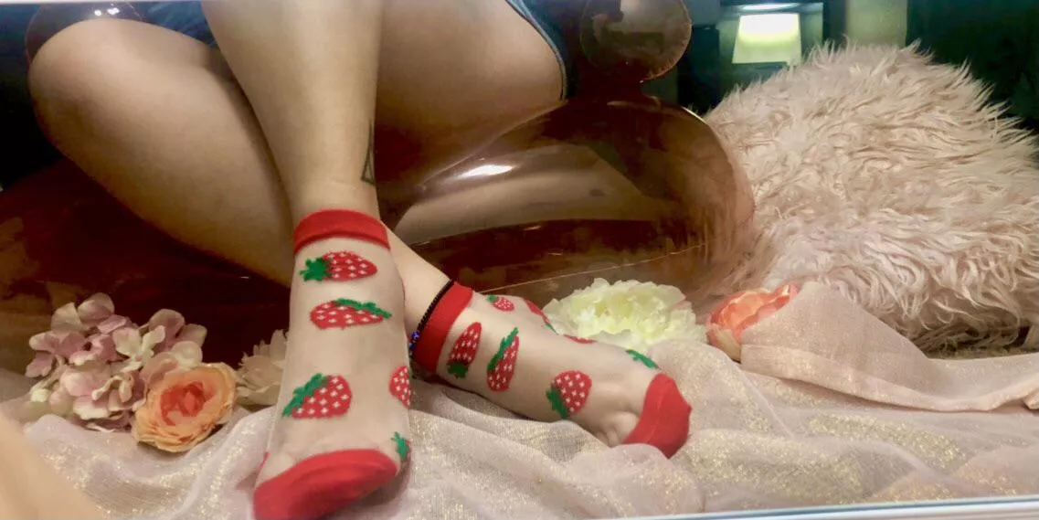 🍓Strawberry mesh socks! What do you think? 🥰 posted by YourFootDeity