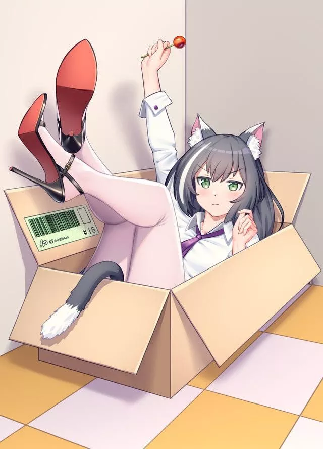 Stuck in a box [Original] posted by [deleted]