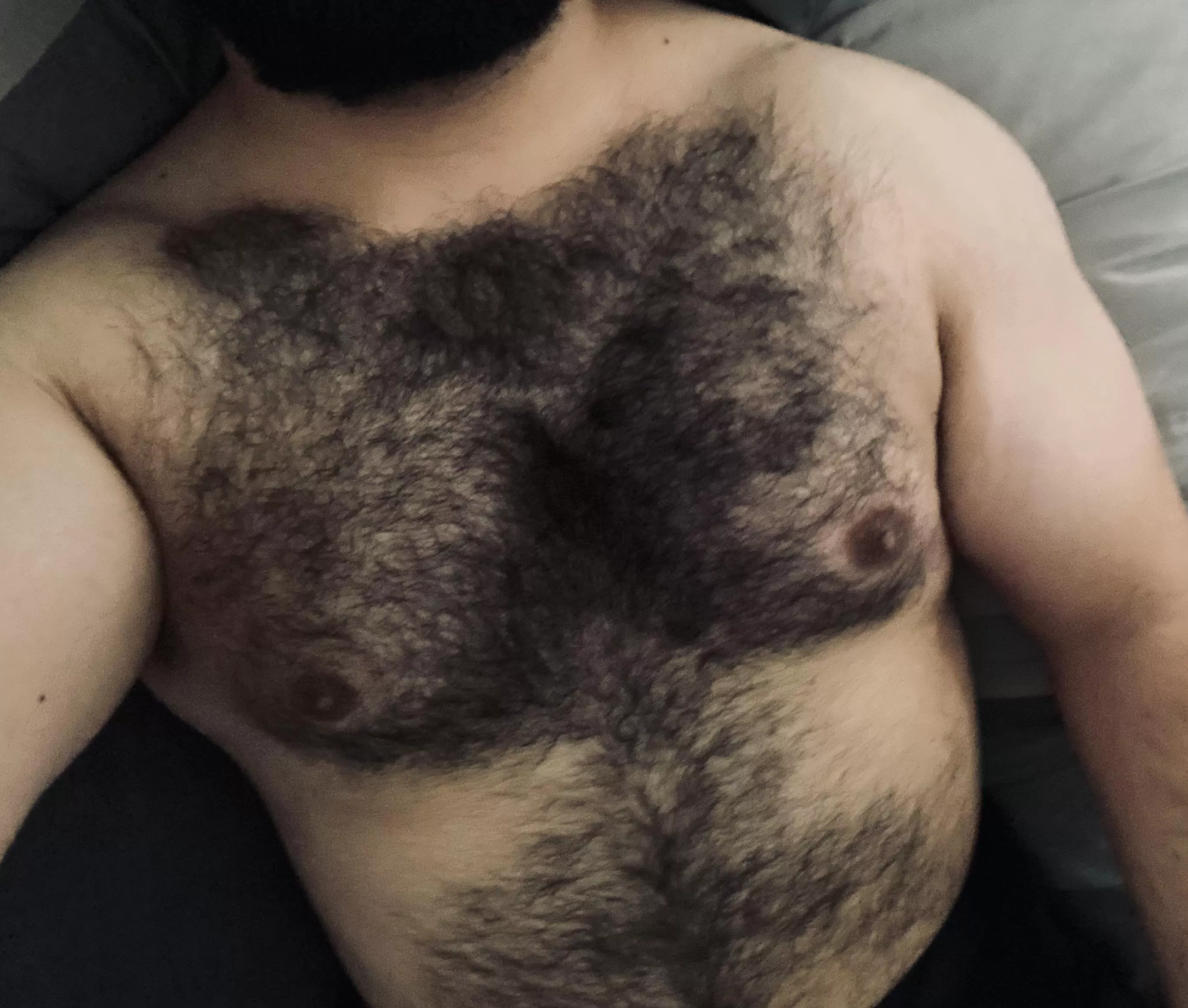 Stuffed from all the eating this week. In need of cuddles. posted by hirsutebear