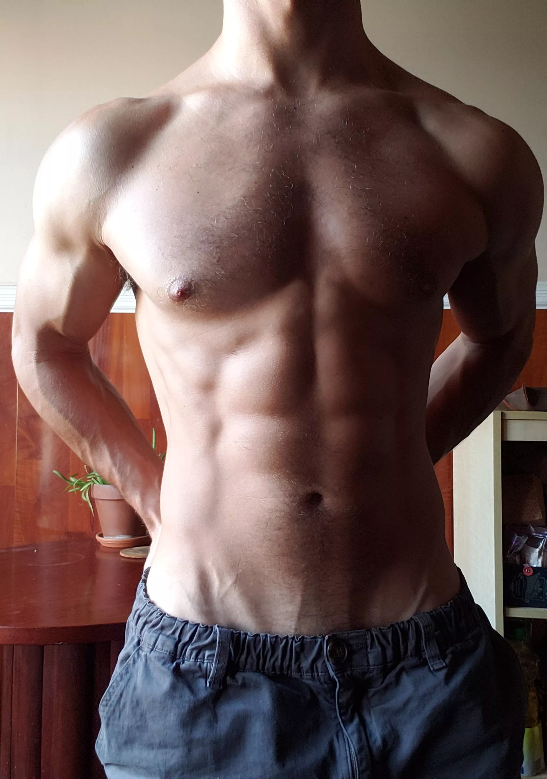 Submitting my torso for your consideration posted by Yohonestlygurl