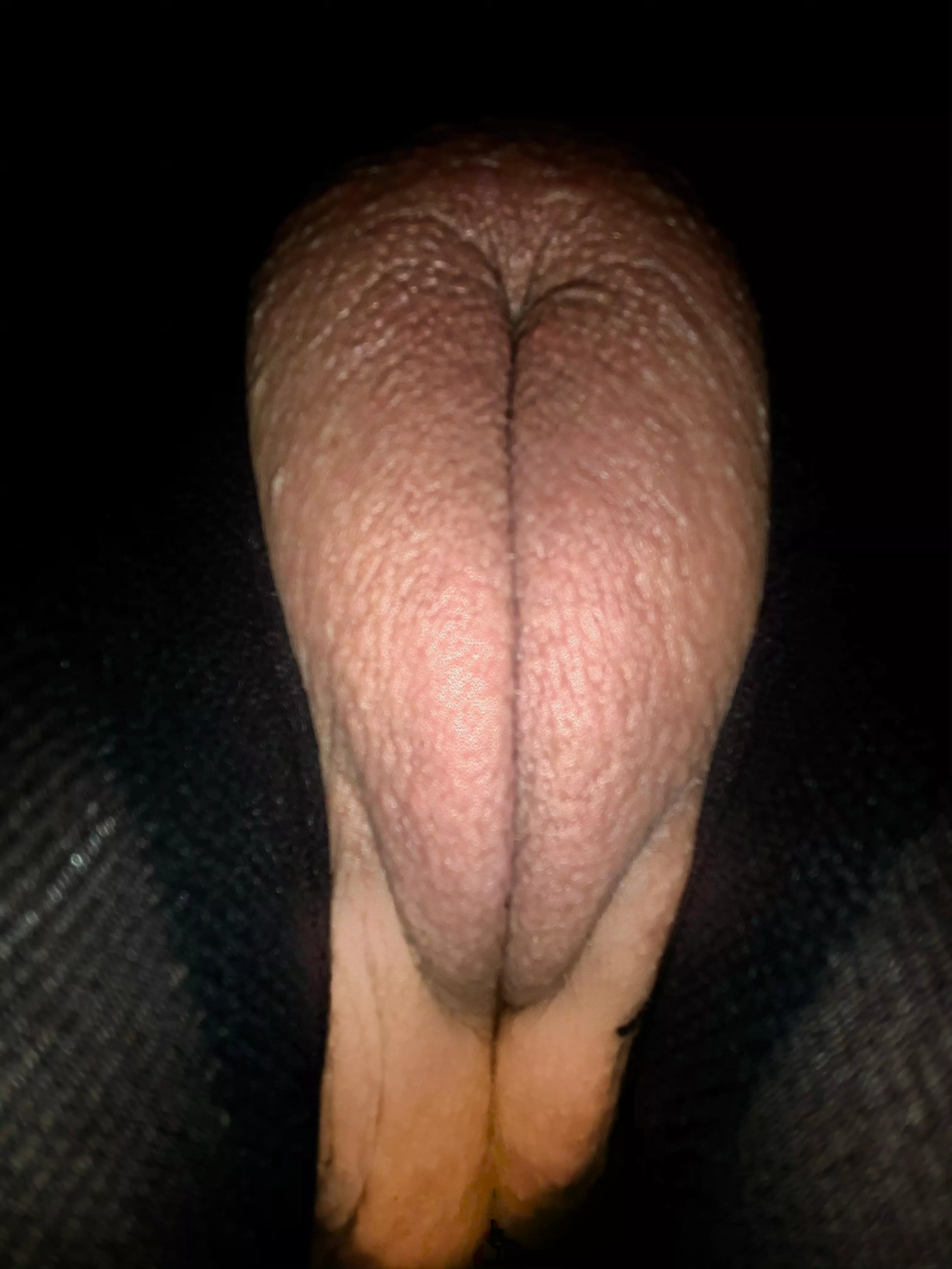 Such a pretty shaved pantyhose pussy puff posted by QueenBrat19