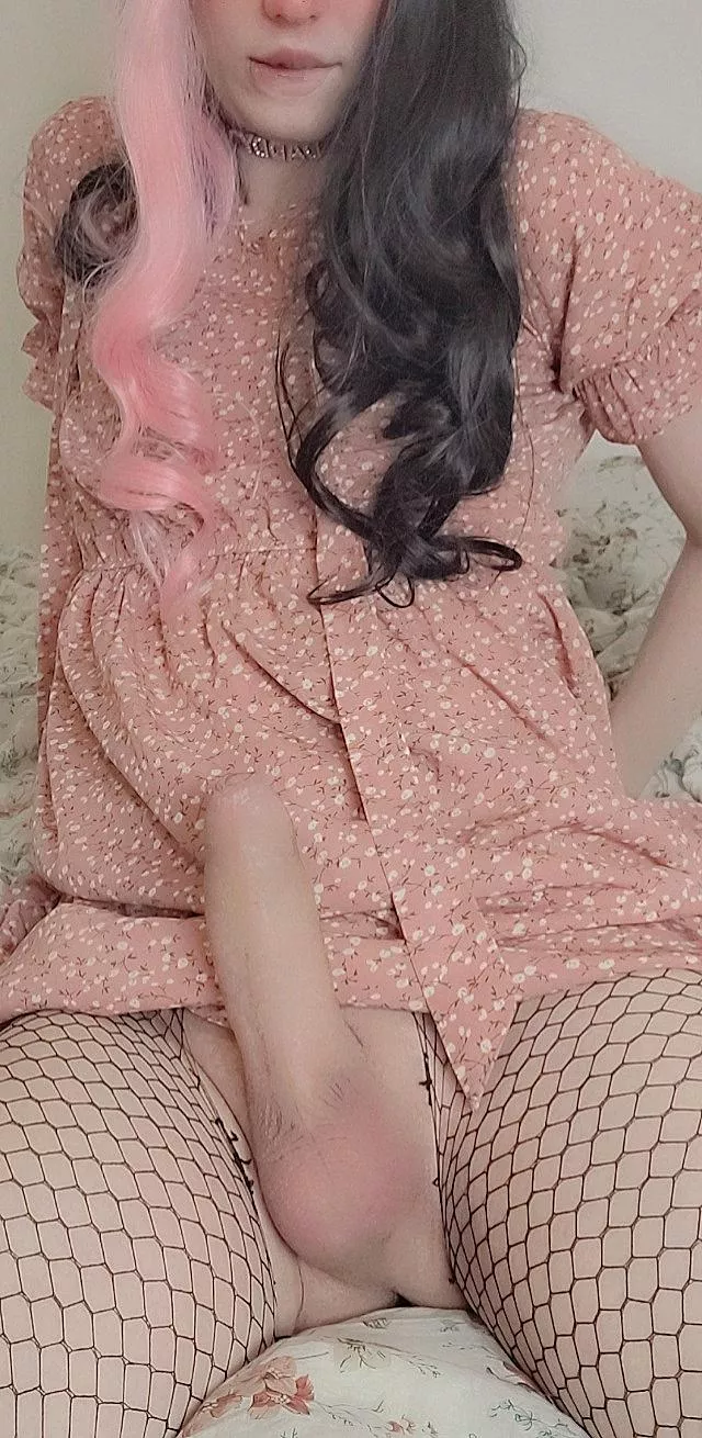 Suck my dick please 🥺 posted by yanonagami