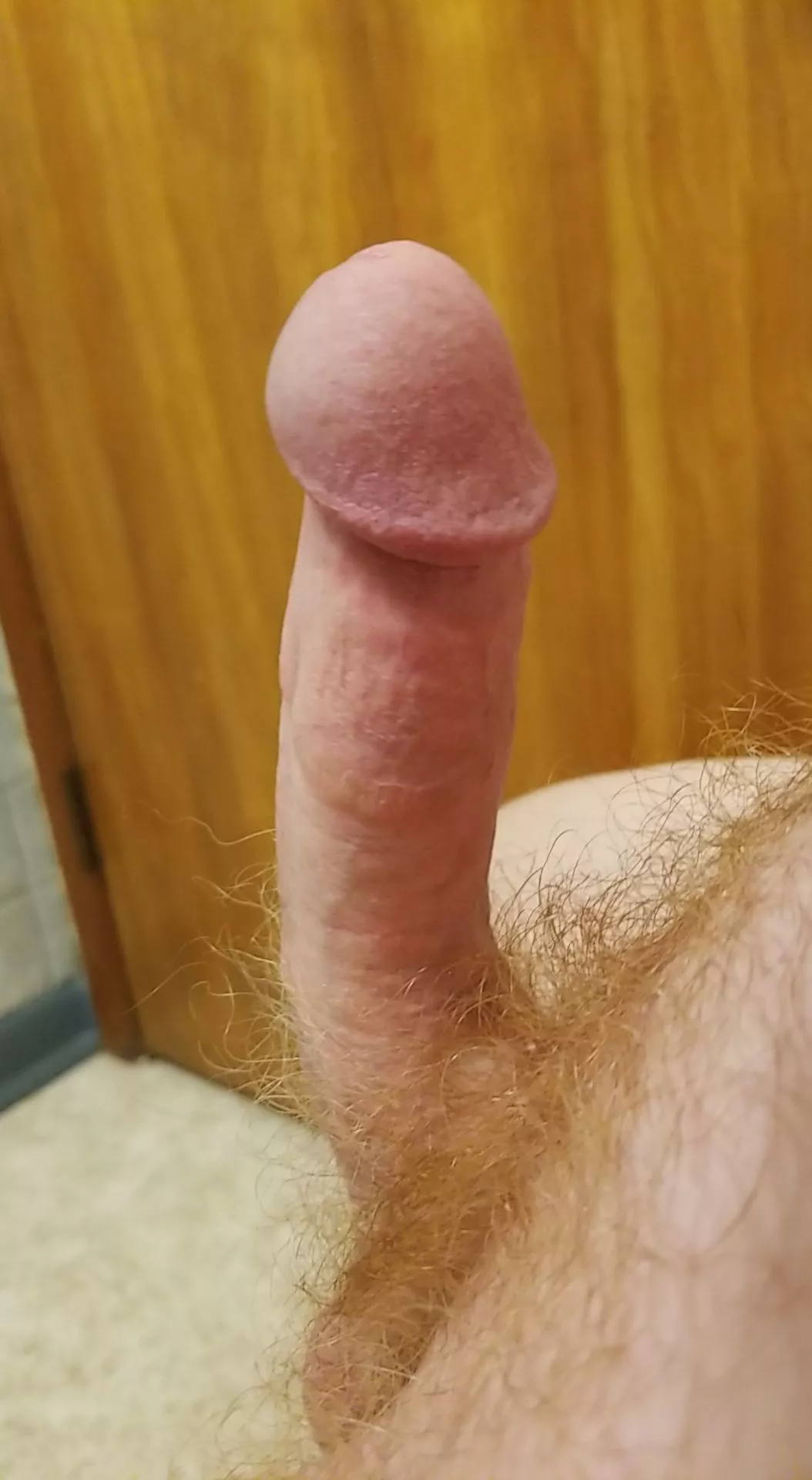 Sunday morning cock anyone? posted by Lucky_Browse