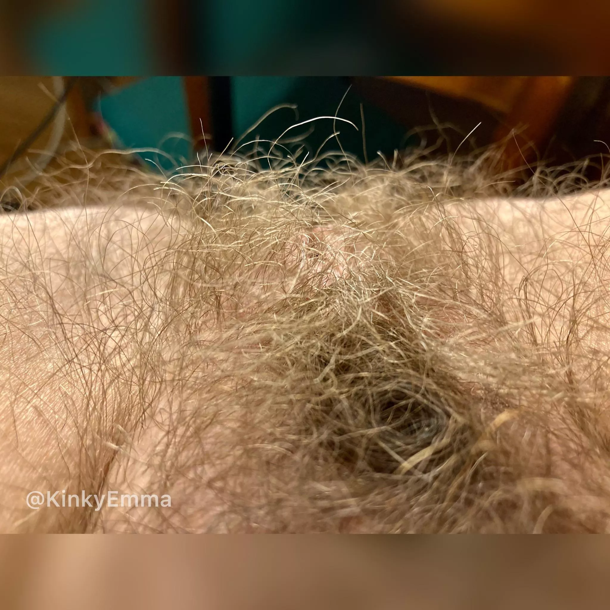 Super hairy! Wanna feel my curls on your face? posted by Kinkyemma00