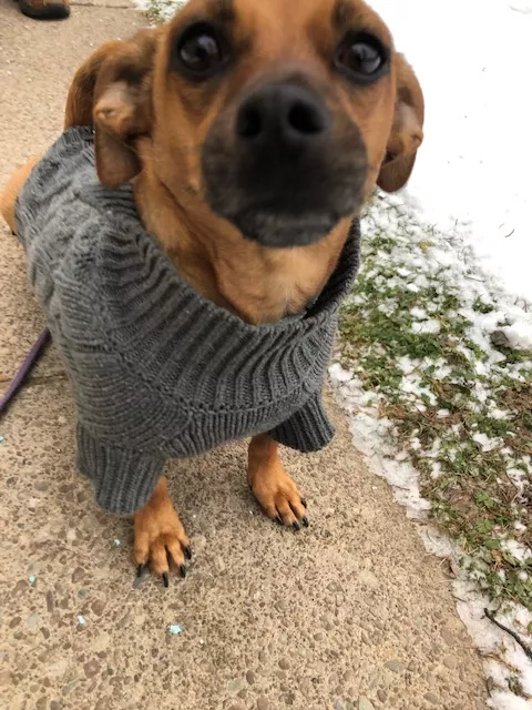 SWEATER BOI posted by OfficeSpaceRocks