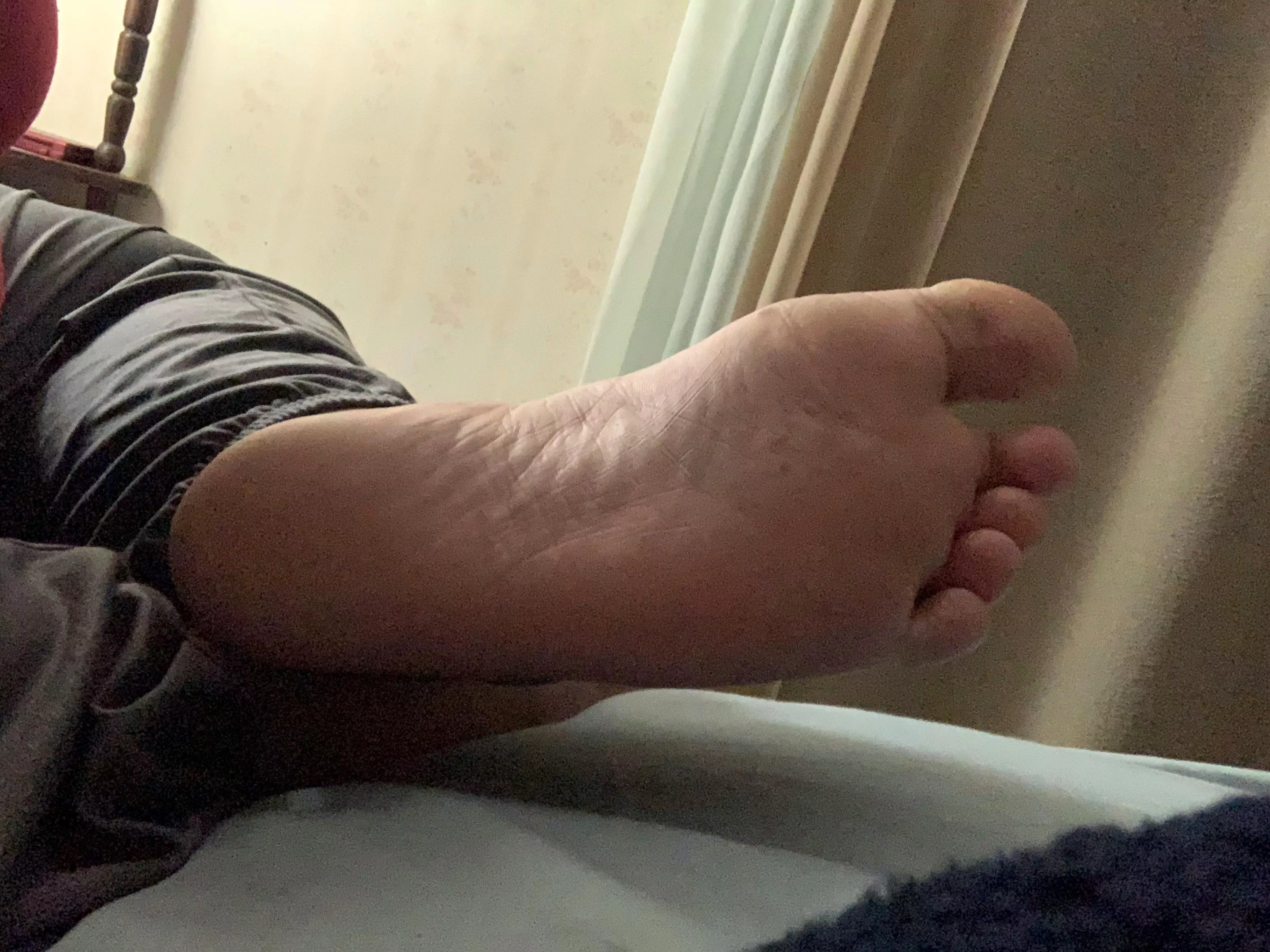 Take my feet and start licking my soles posted by throwaway4478905