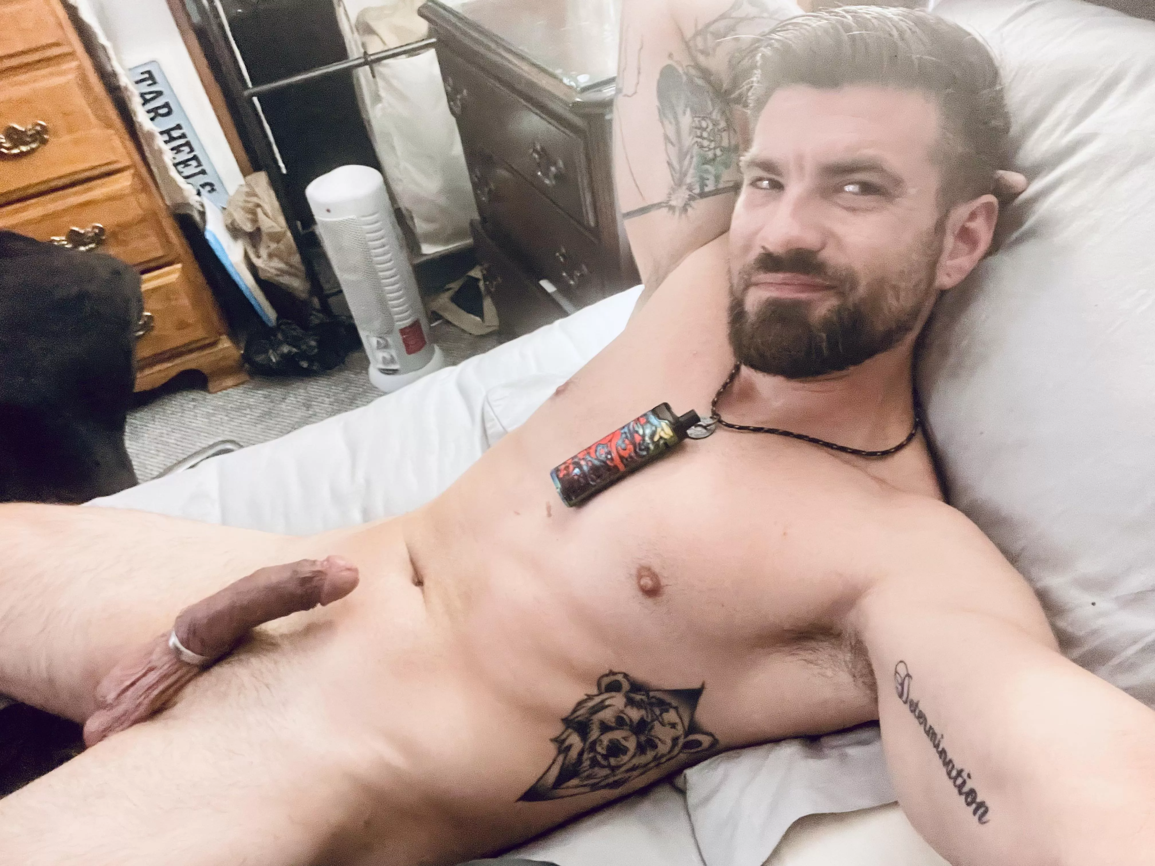 Taking a break from a really hard Humpday, who wants to come cuddle? 🦥 posted by HonestAbe65