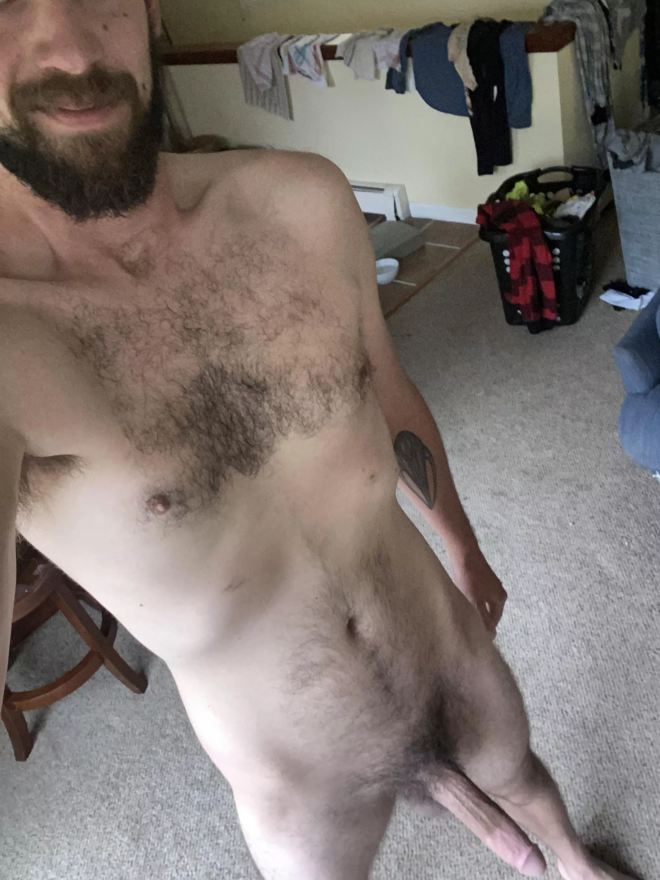 Tall skinny and hairy, what more do you want? posted by Haystack41