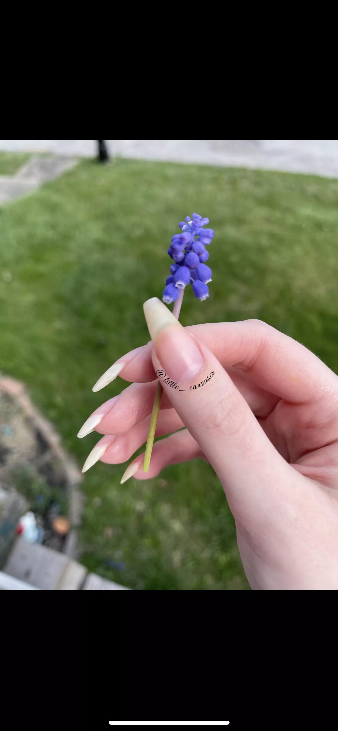 TB to my nails at my preferred length ❤️ posted by littlecanvases