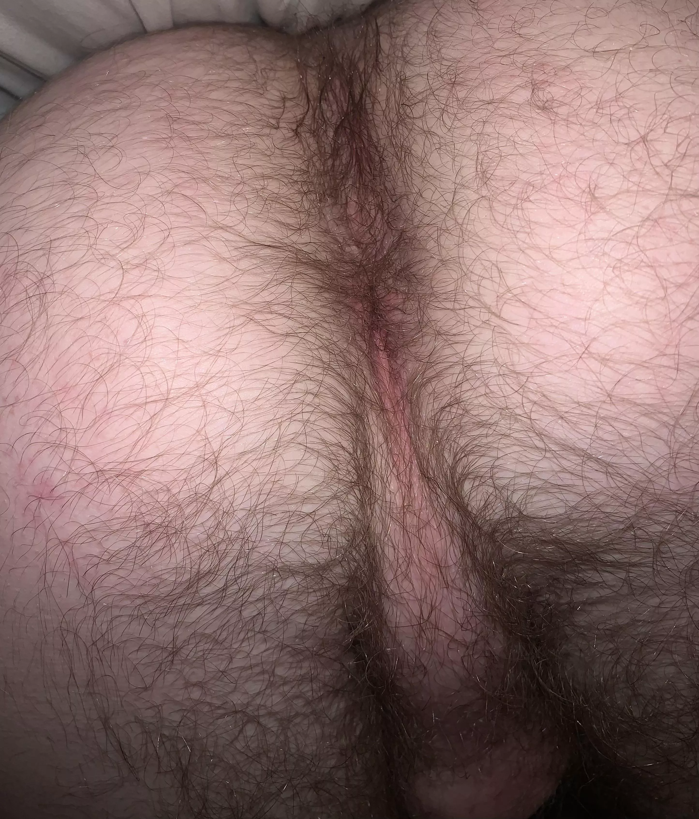 Tell me what you would do to my sweaty butt posted by anonymous48912