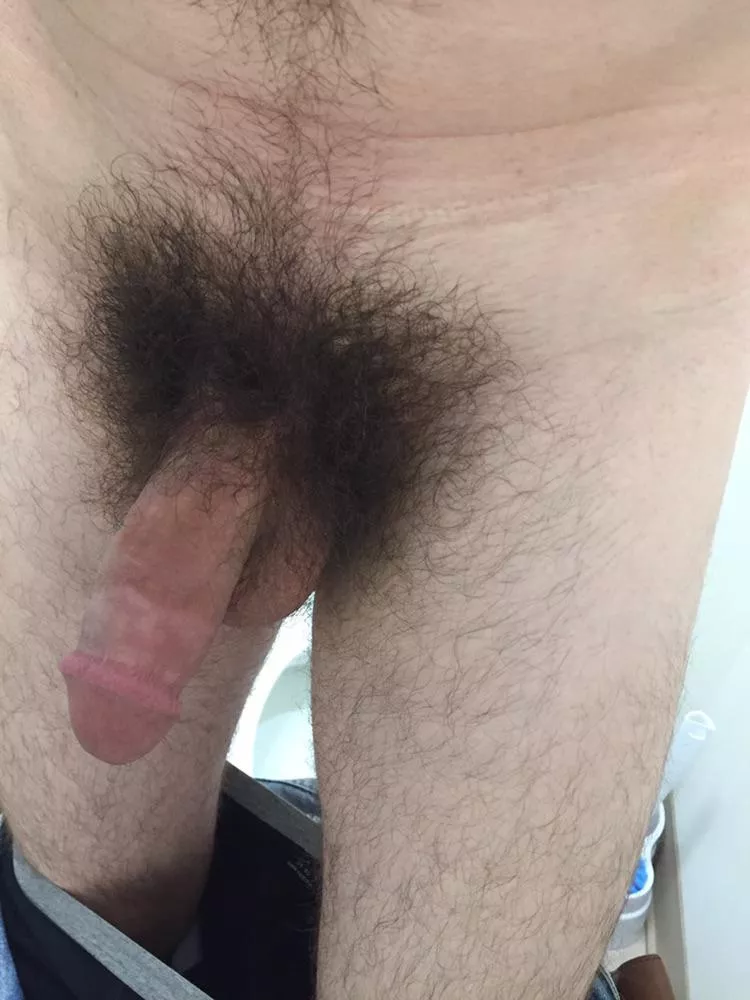 TGIF. Here’s my hairy cock 😉 posted by thomsbrief