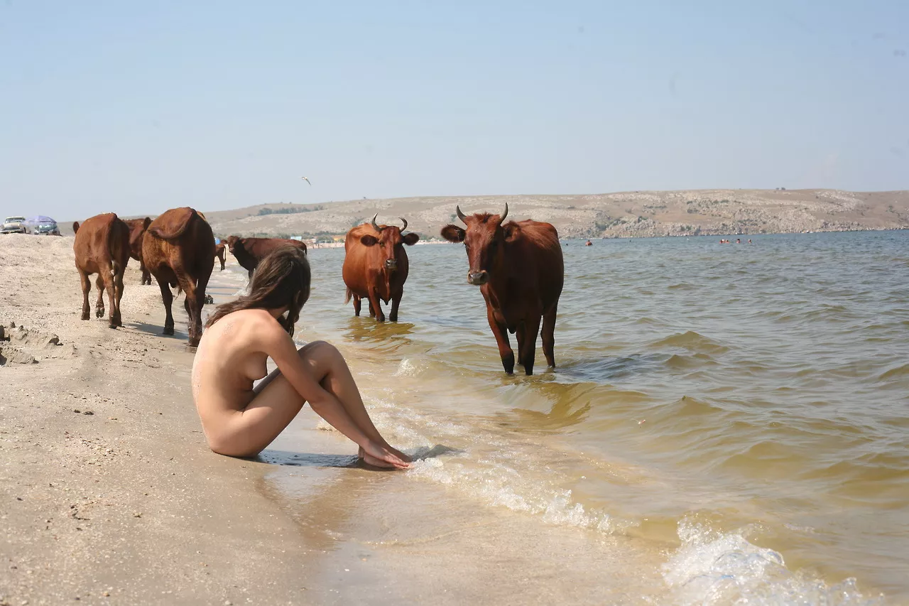 That's bull ! posted by NaturistPictures