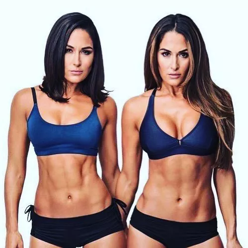 The Bella twins figure 🤤 posted by Godess_follower