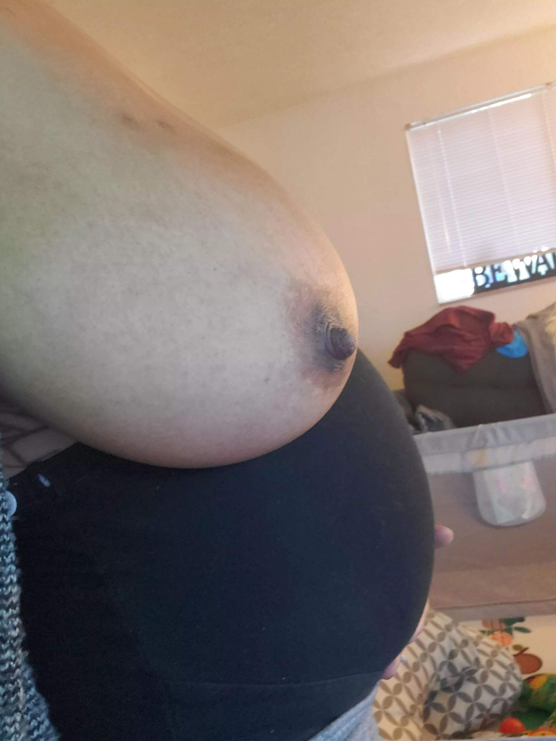 The belly posted by whittknee420